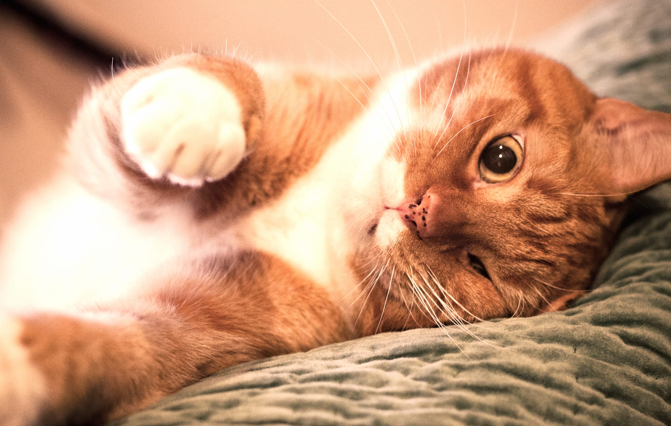 Relaxing Tab wallpapers HD Relaxing Tab wallpapers HD quality