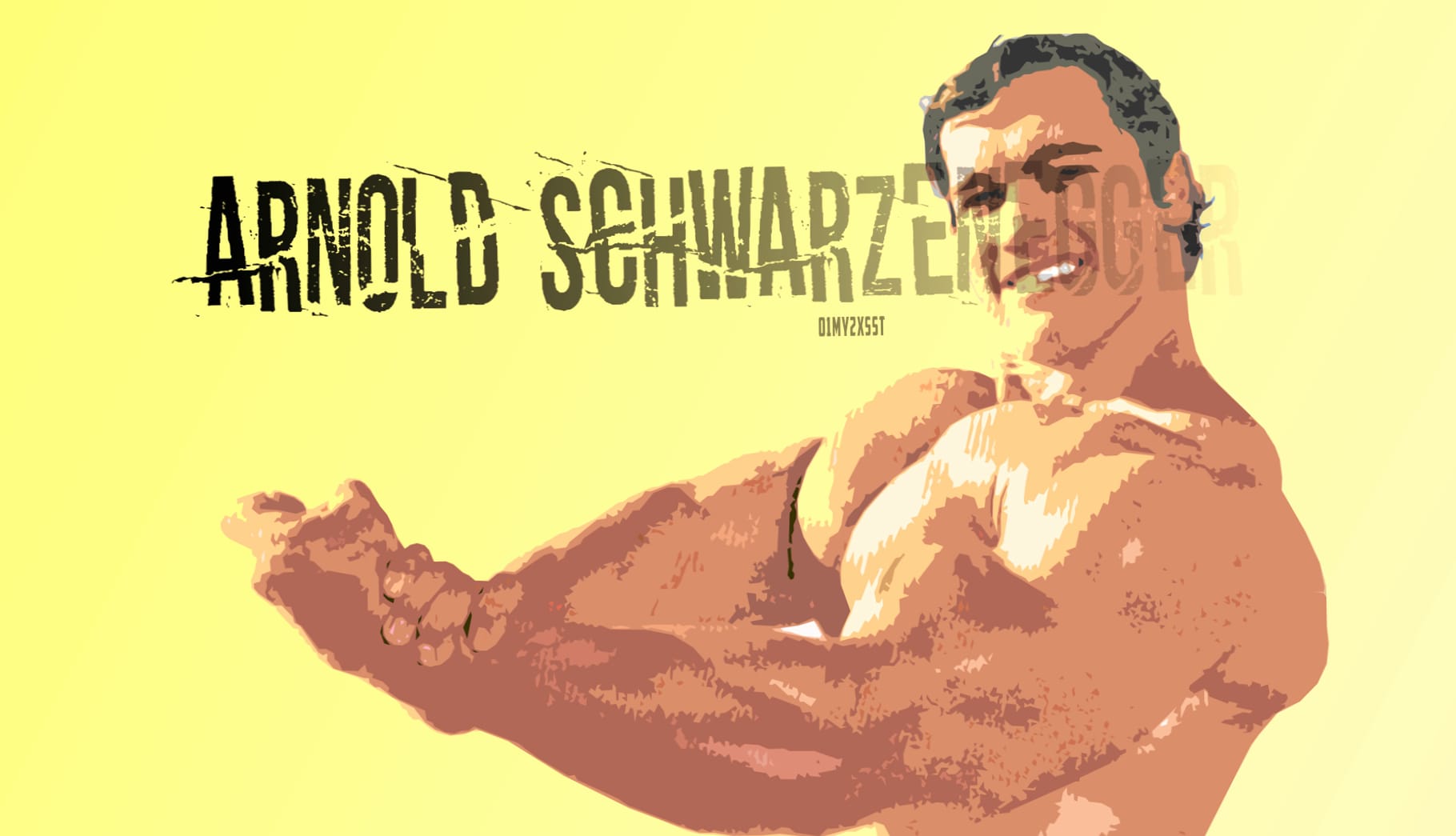 Retro Arnold Schwarzenegger Bodybuilding wallpapers HD quality