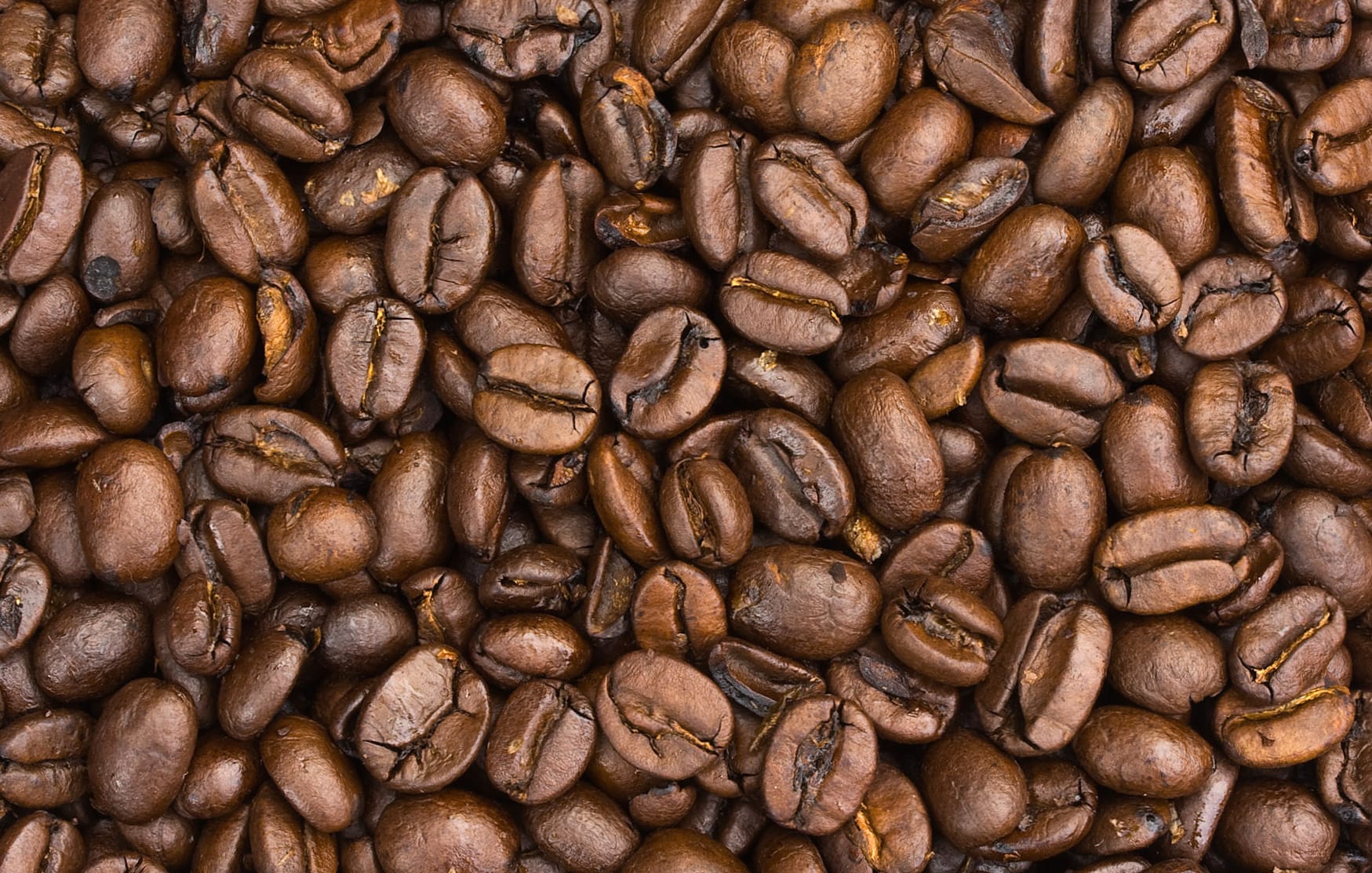 Rich Coffee Beans - for Coffee Lovers wallpapers HD quality