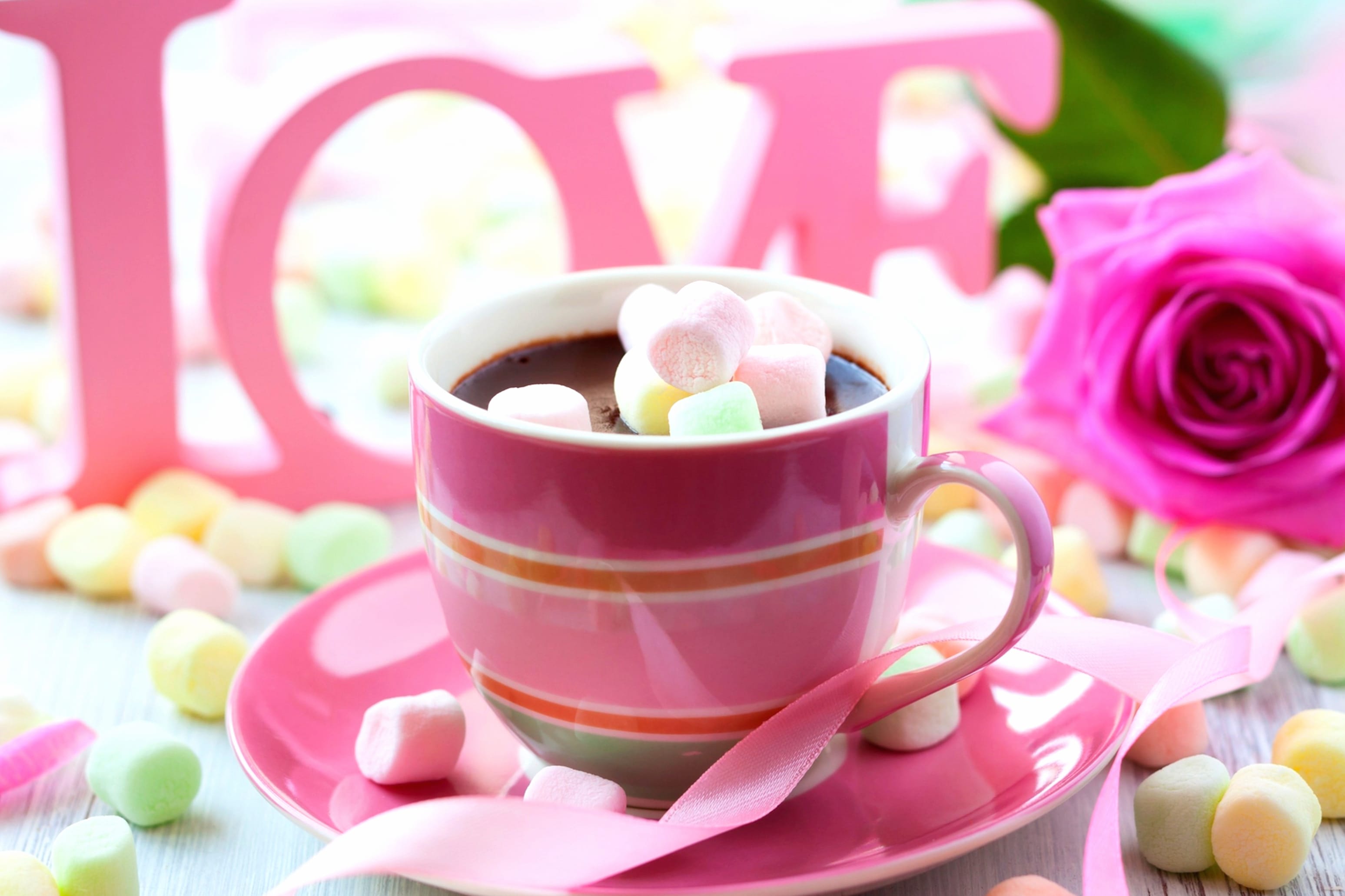 Rose Romantic Cup Chocolate Marshmallow Food Drink wallpapers HD quality