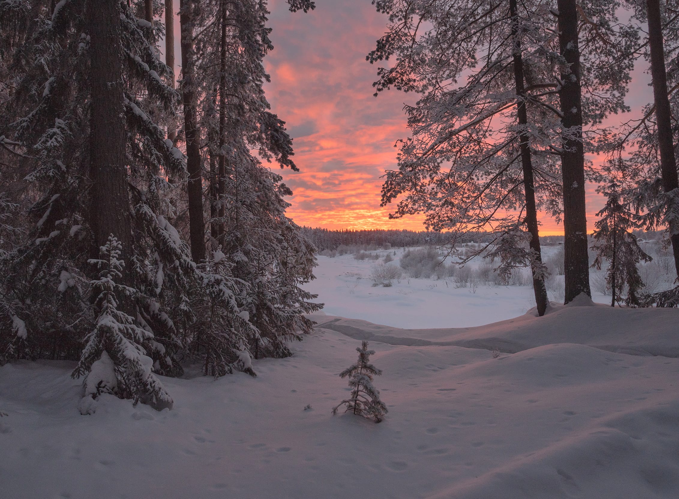 Russia Nature Winter at 1600 x 900 HD size wallpapers HD quality