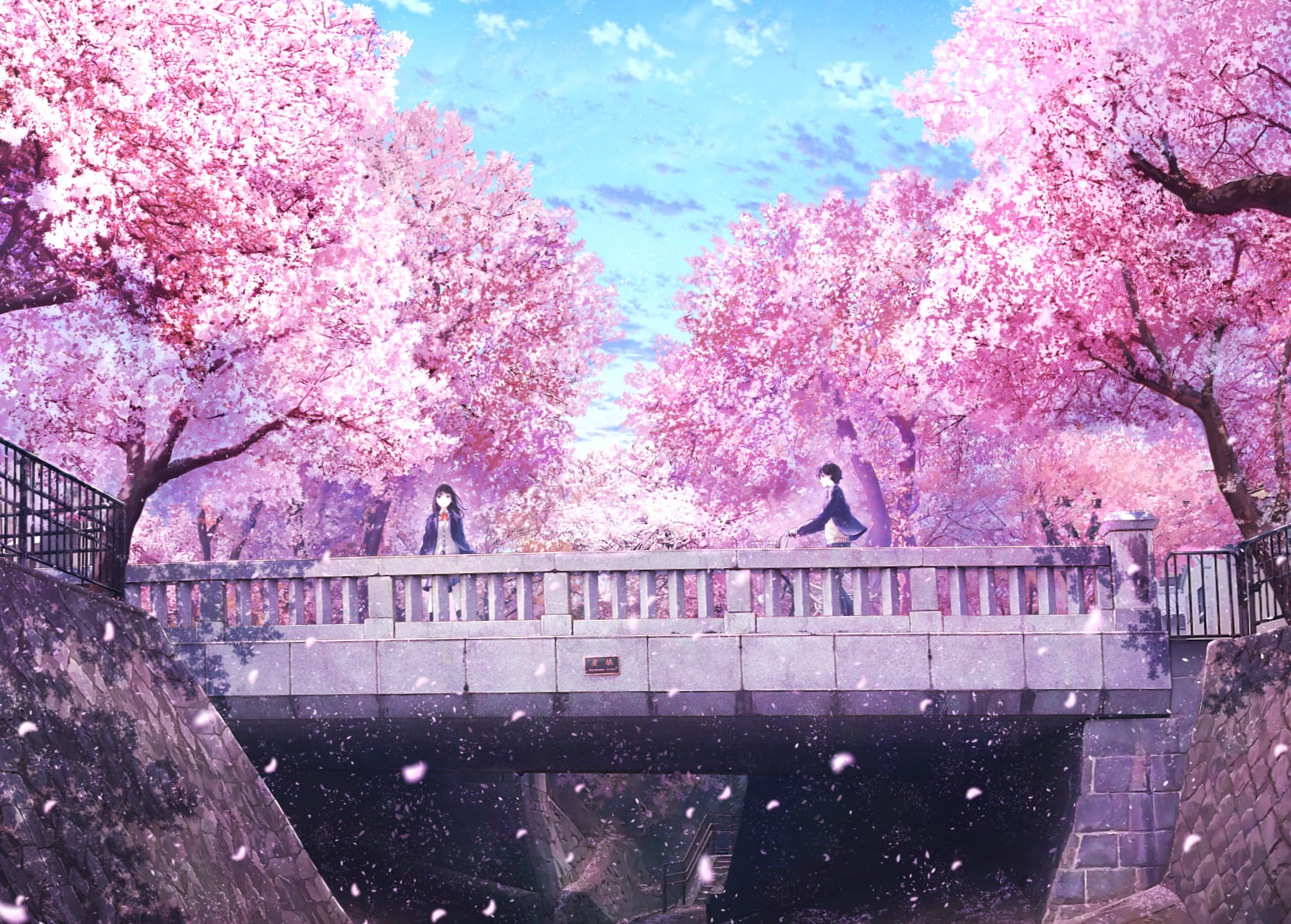 Sakura Blossom Love - Anime Spring at 2048 x 2048 iPad size wallpapers HD quality