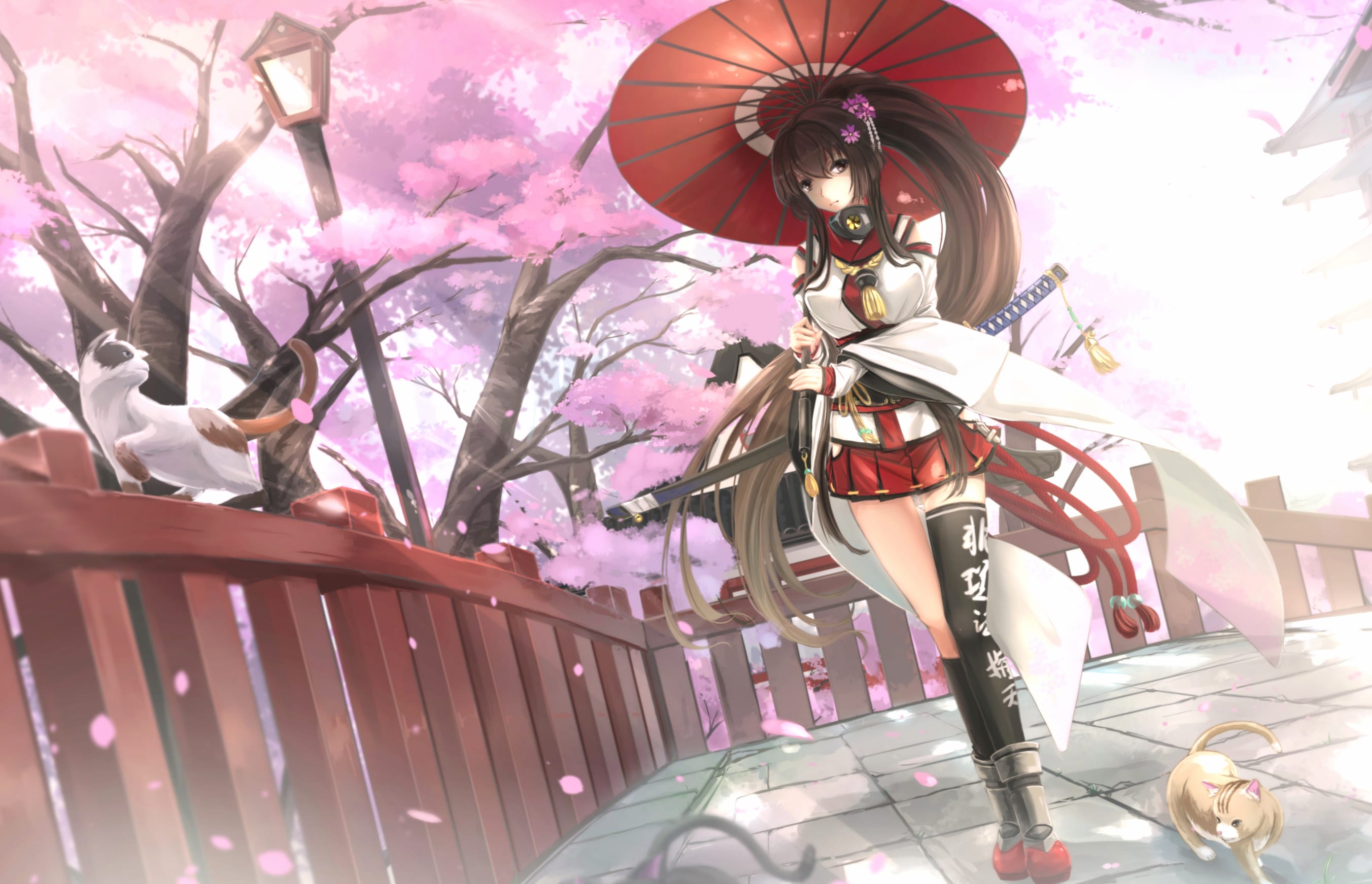 Sakura Samurai – Kantai Collection Anime wallpapers HD quality