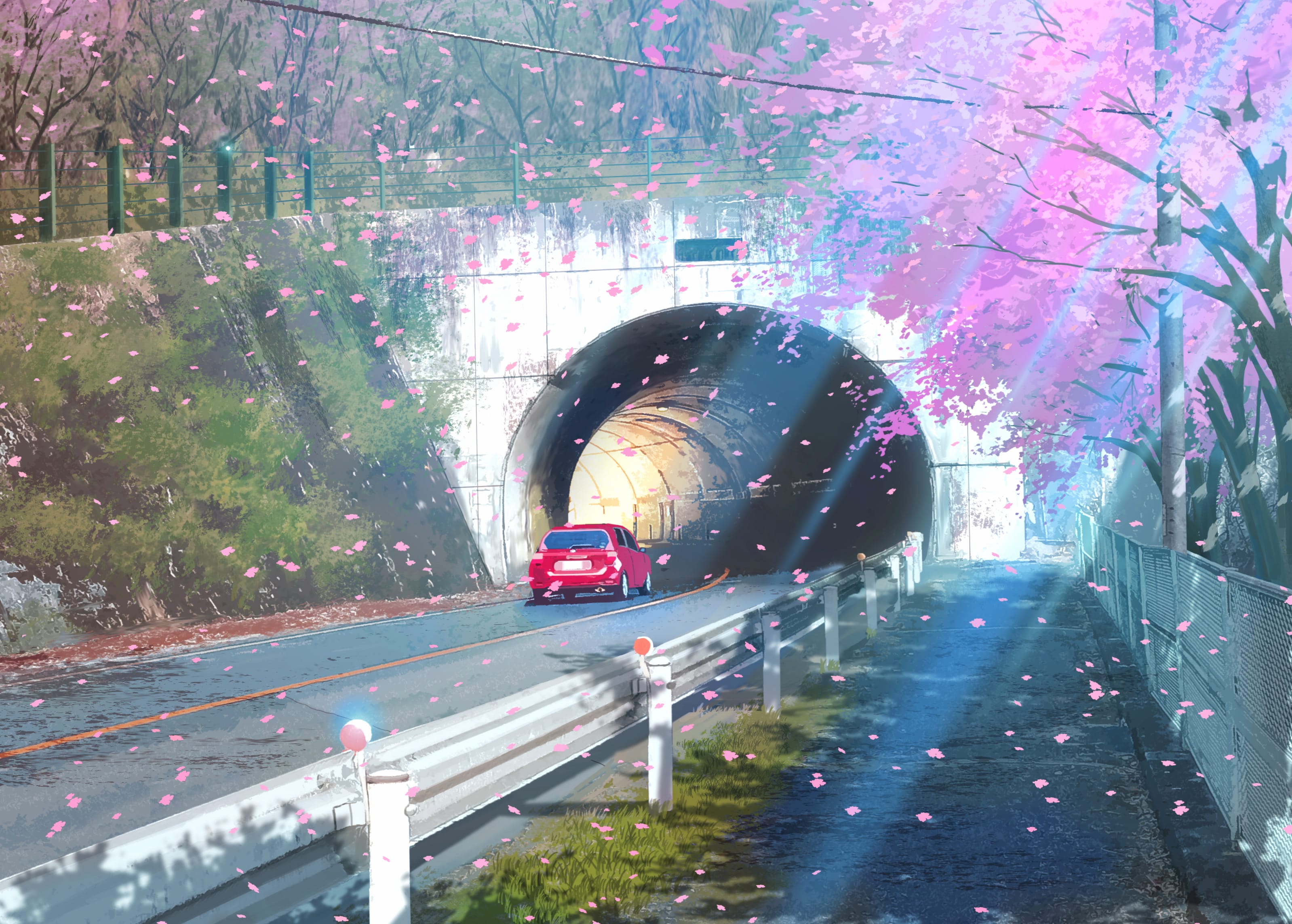 Sakura Tunnel Road Anime wallpapers HD quality