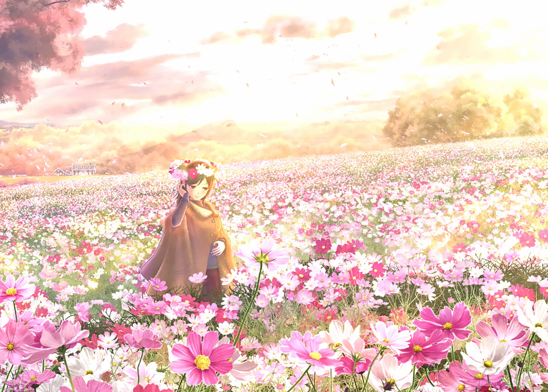 Serene Blossoms Anime wallpapers HD quality