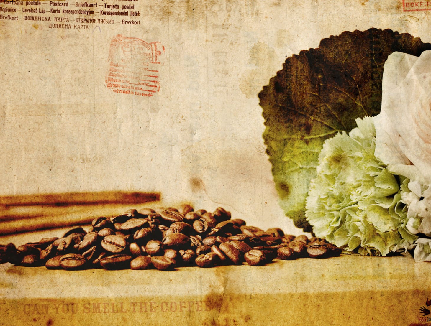 Serene Coffee Beans An for Food Lovers at 1366 x 768 HD size wallpapers HD quality