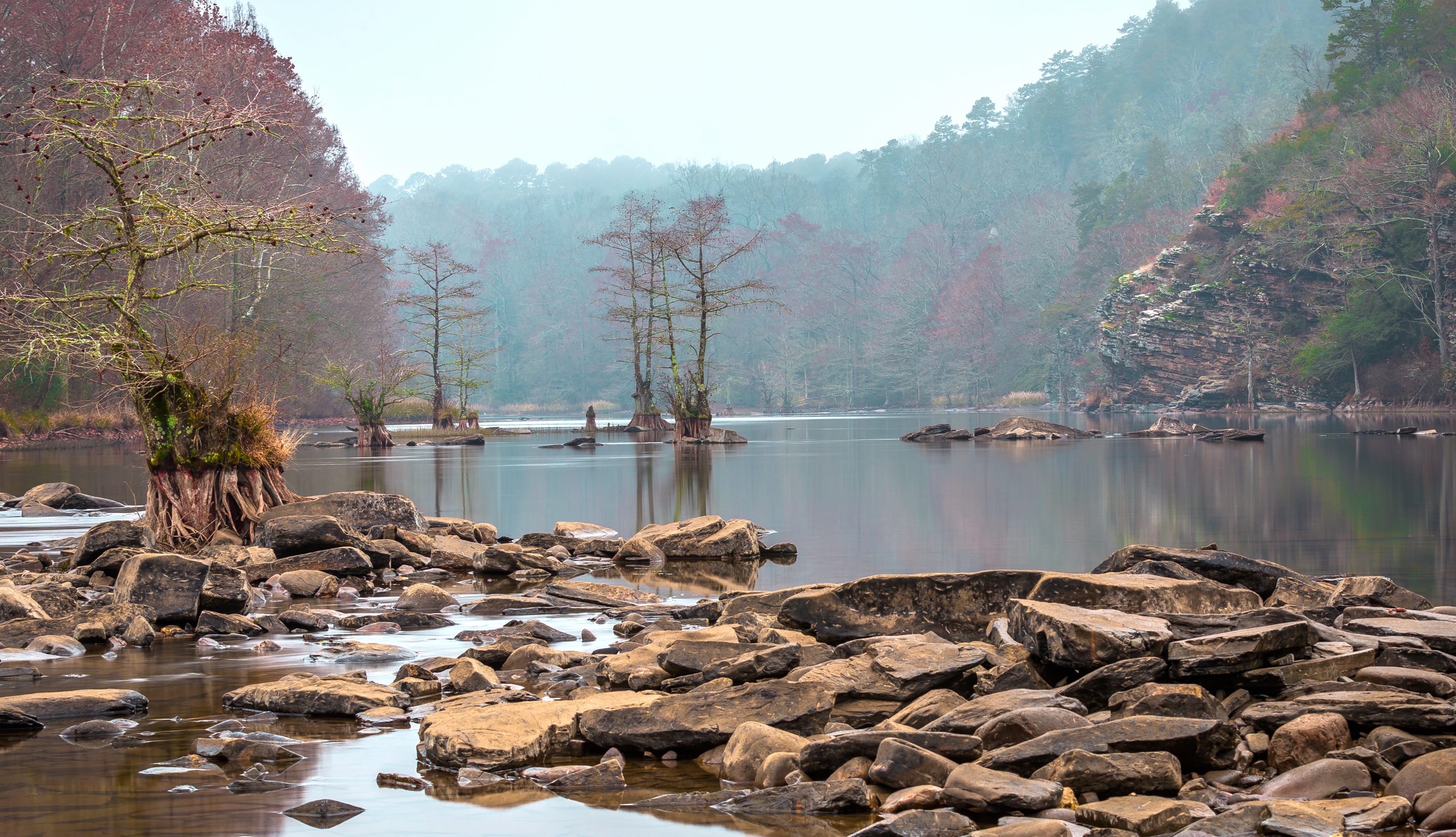 Serene Lake HD Nature Wallpaper wallpapers HD quality