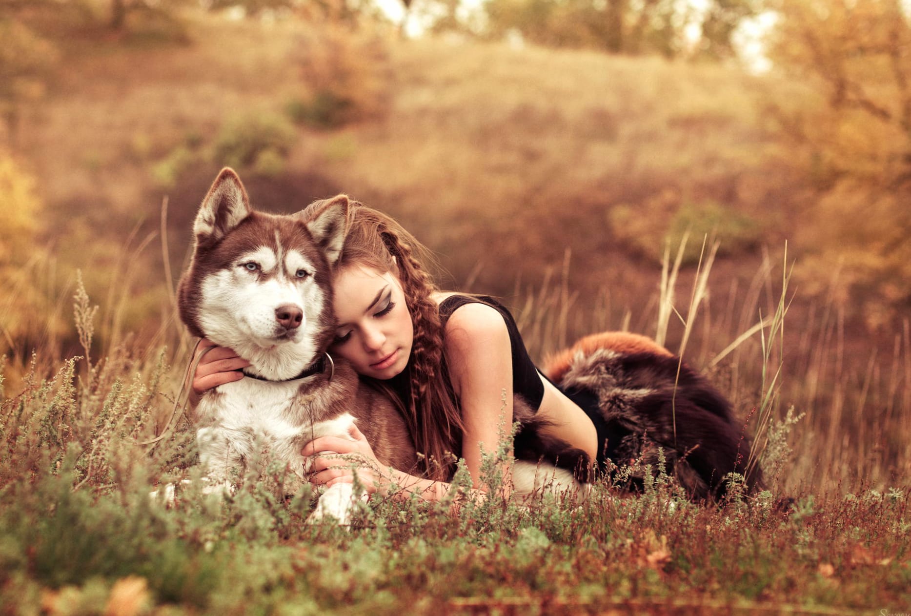 Serene Mood with Husky - at 1680 x 945 HD size wallpapers HD quality