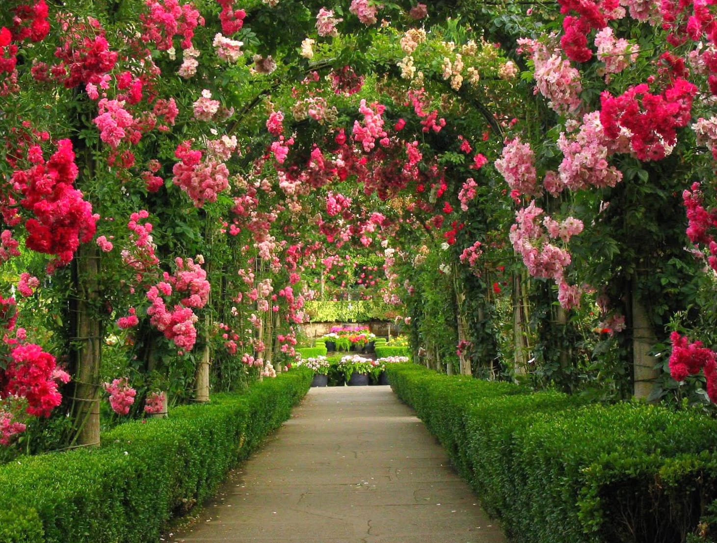 Serene Rose Arch Garden at 1334 x 750 iPhone 7 size wallpapers HD quality