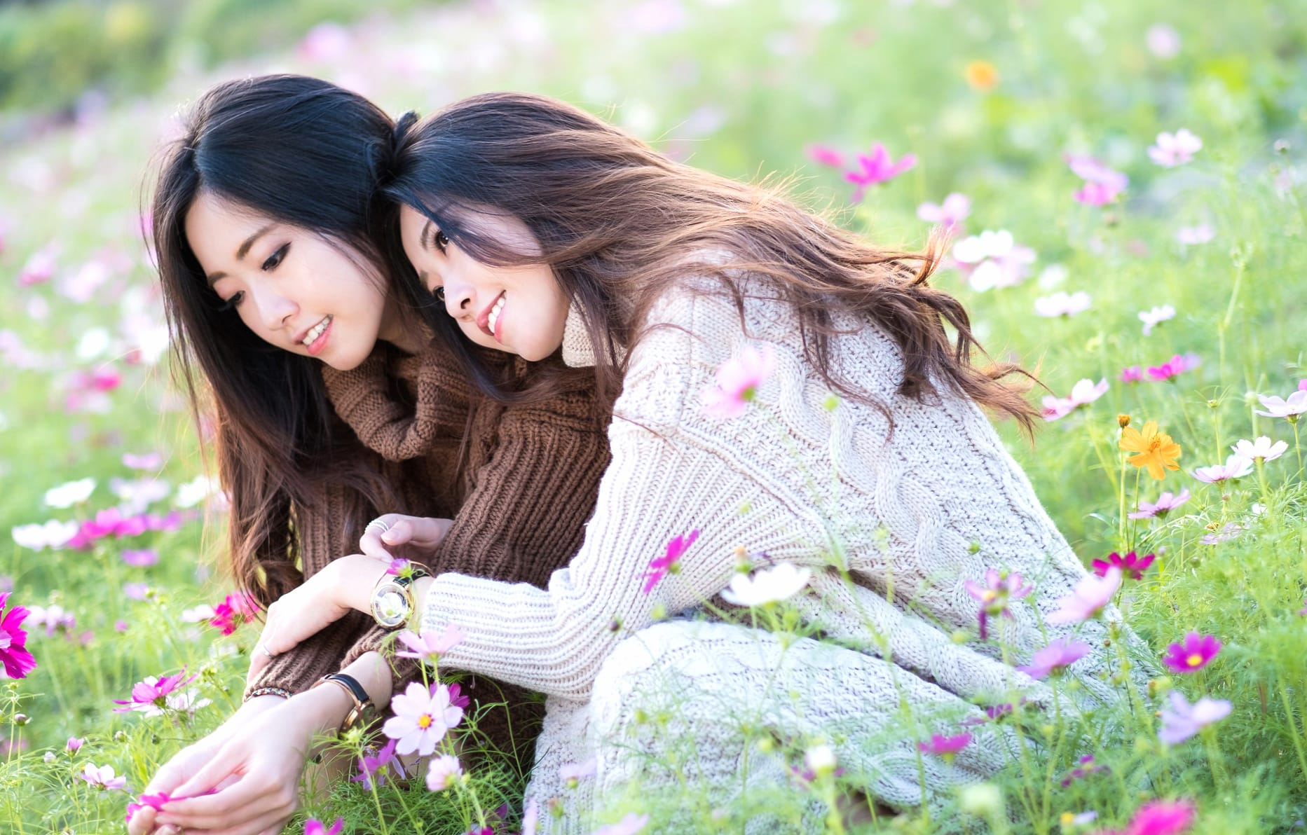 Serene Smiles in a Pink Flower Field - at 1600 x 1200 size wallpapers HD quality