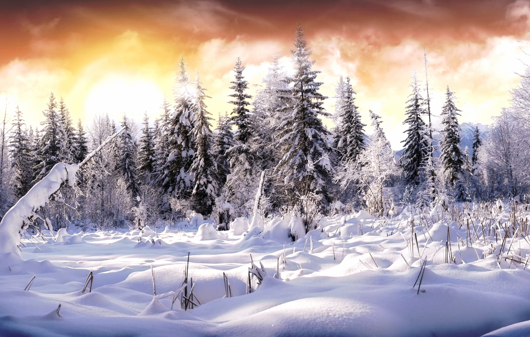 Serene Winter Landscape at 1366 x 768 HD size wallpapers HD quality