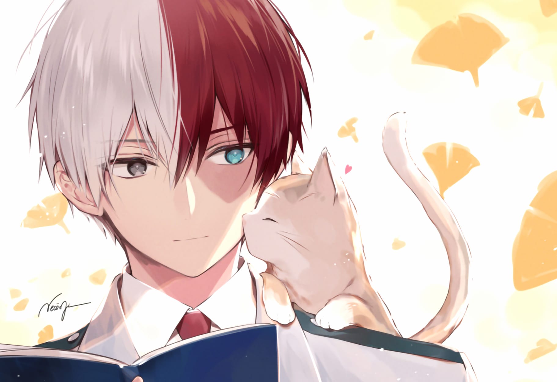 Shoto Todoroki with Cat - wallpapers HD quality