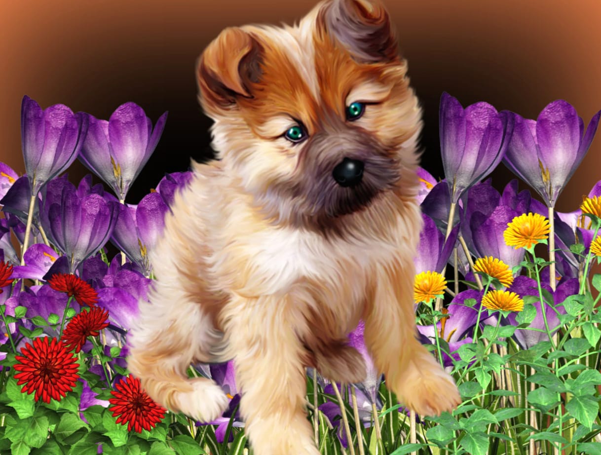 SITTING IN FLOWERS wallpapers HD SITTING IN FLOWERS wallpapers HD quality