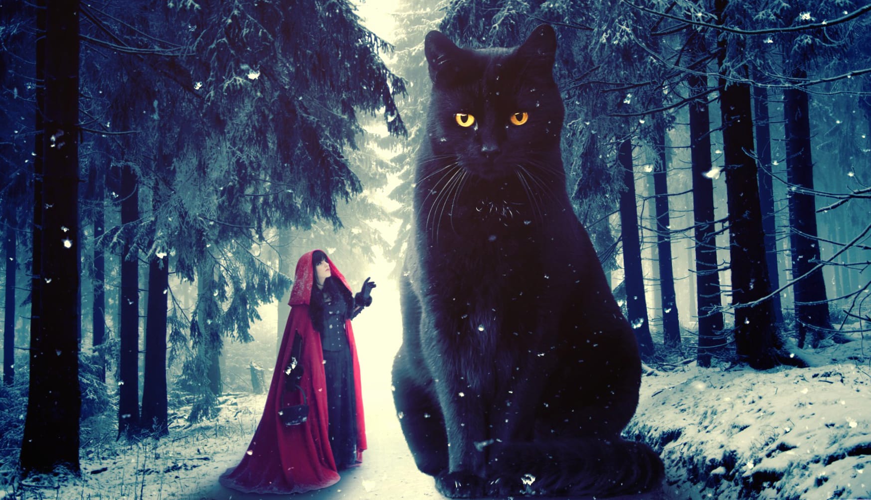 Snowfall Cat Snow Winter Giant Fantasy Red Riding Hood at 2560 x 1440 HD size wallpapers HD quality