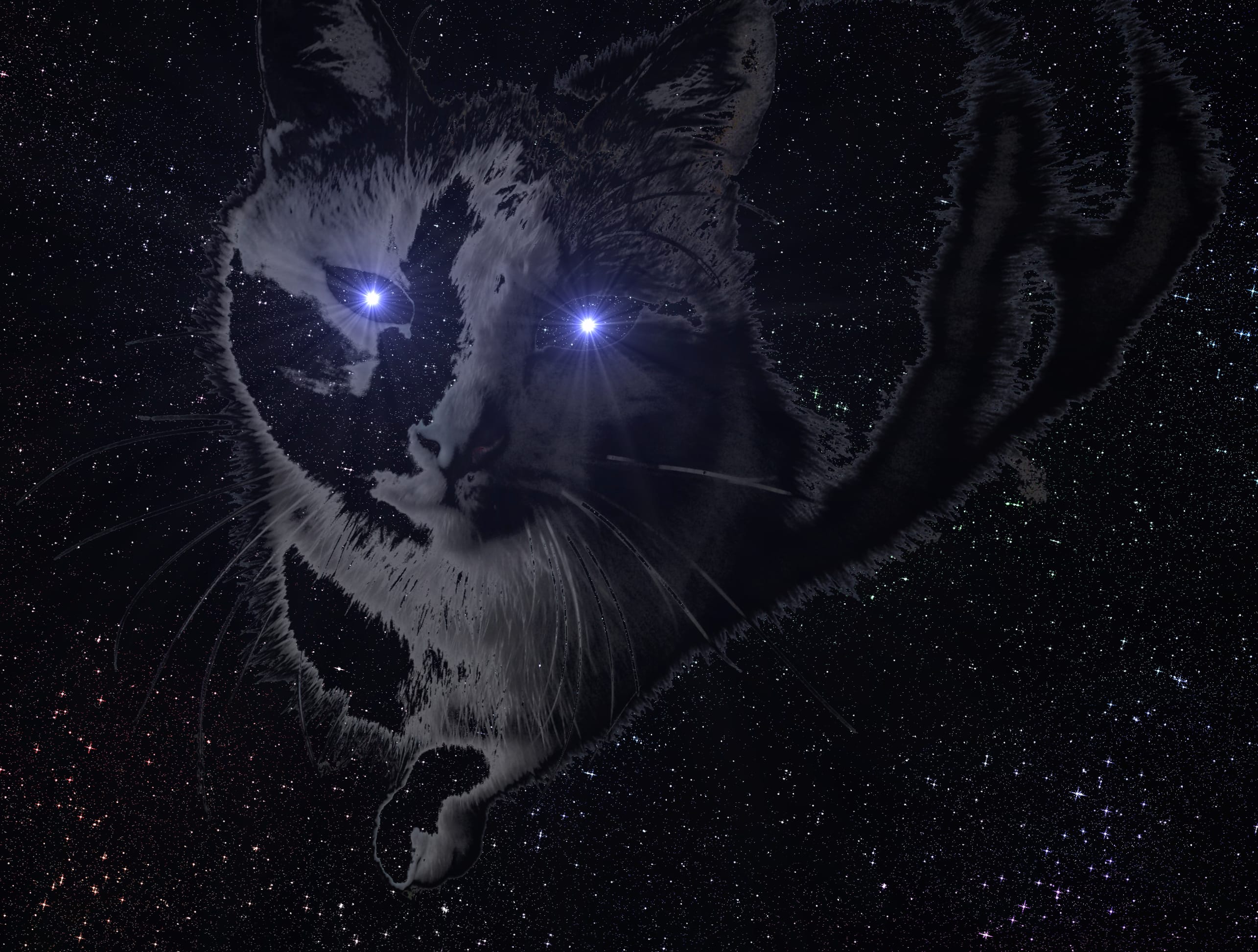 space cat wallpapers HD space cat wallpapers HD quality