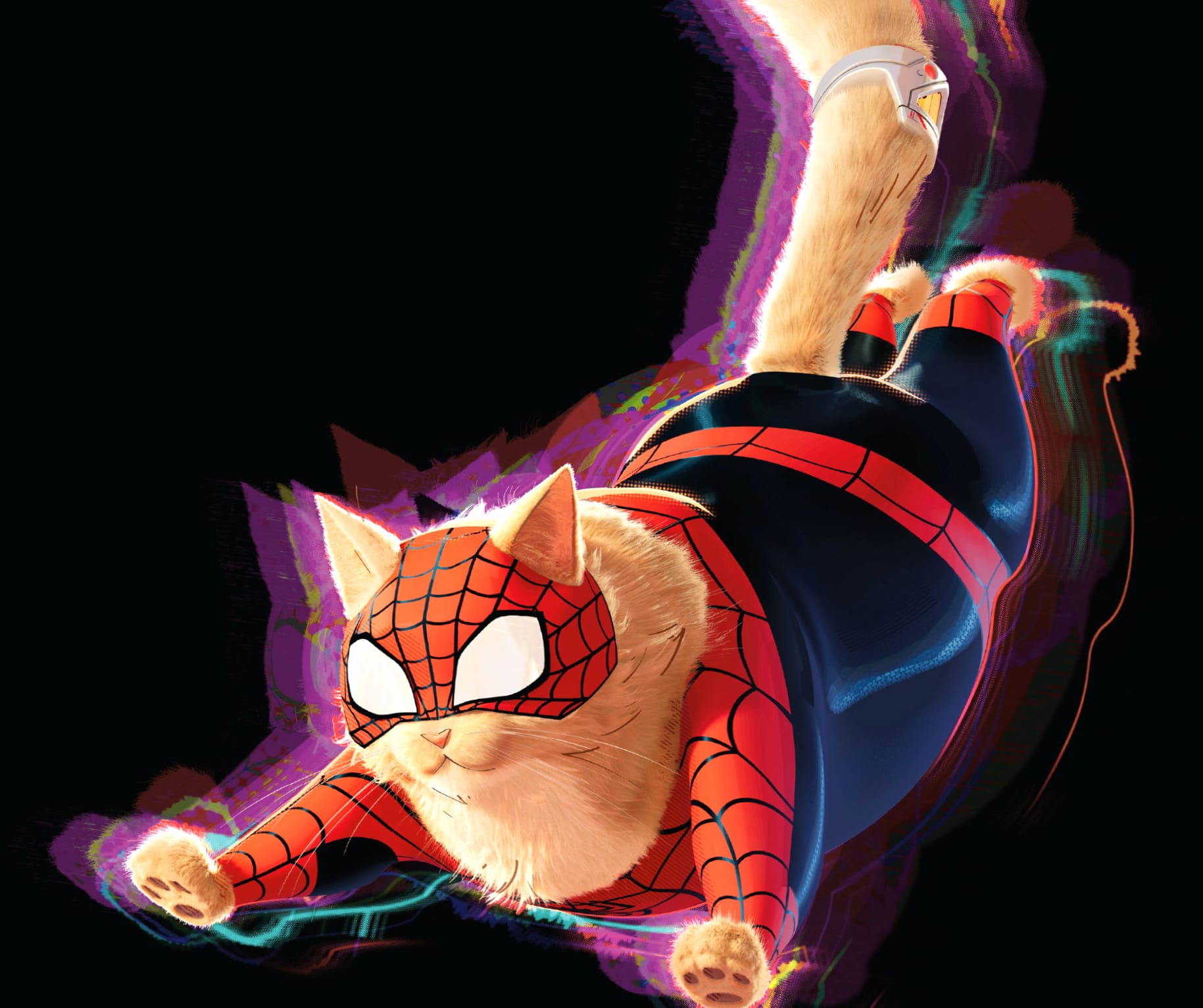 Spider-Man Across the Spider-Verse Cat - at 320 x 480 iPhone size wallpapers HD quality