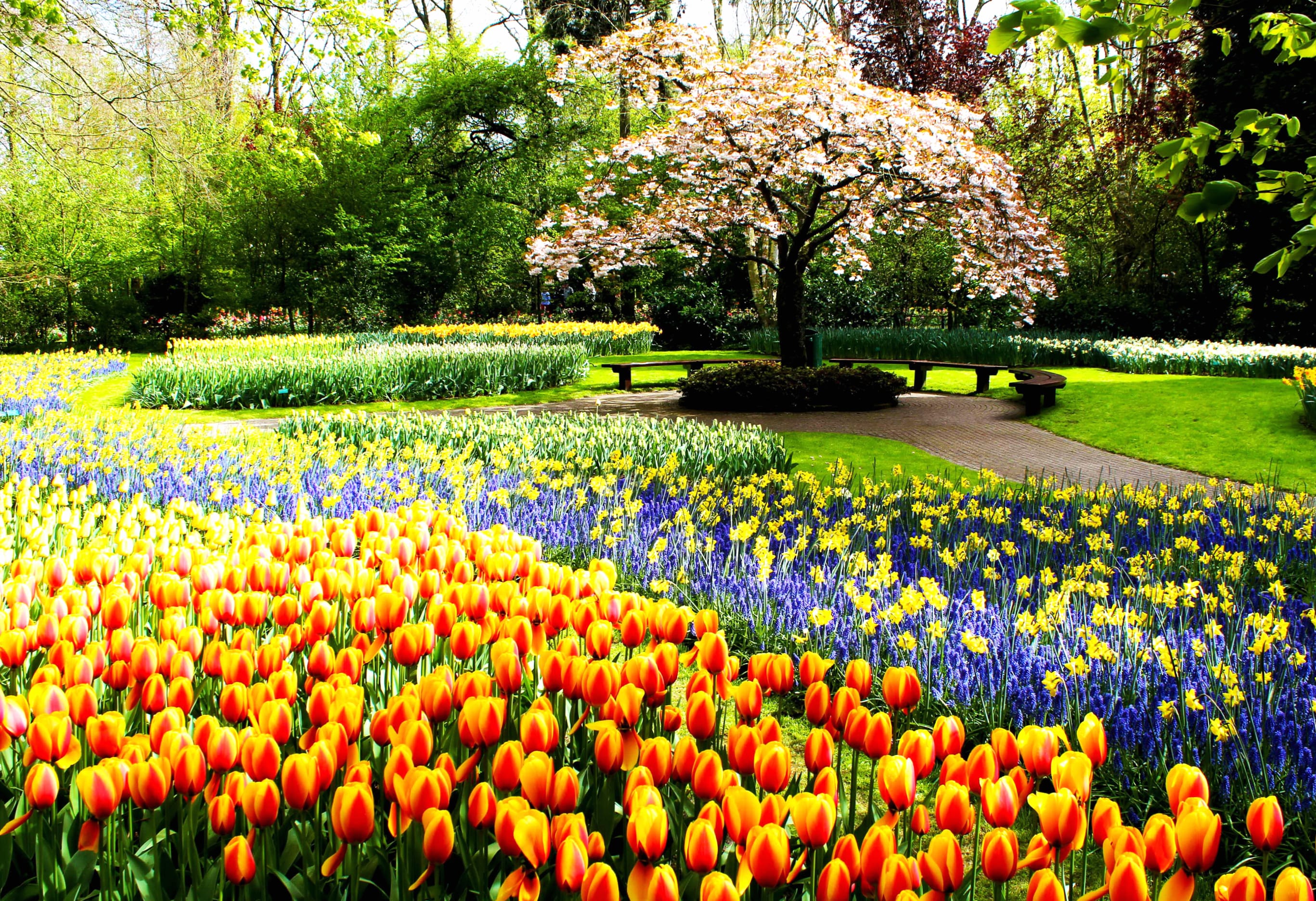 Spring Garden Path at 2560 x 1440 HD size wallpapers HD quality