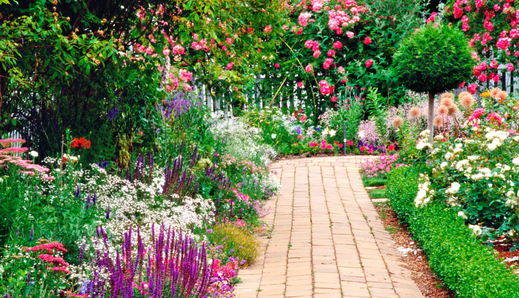 Spring Garden Path - wallpapers HD quality