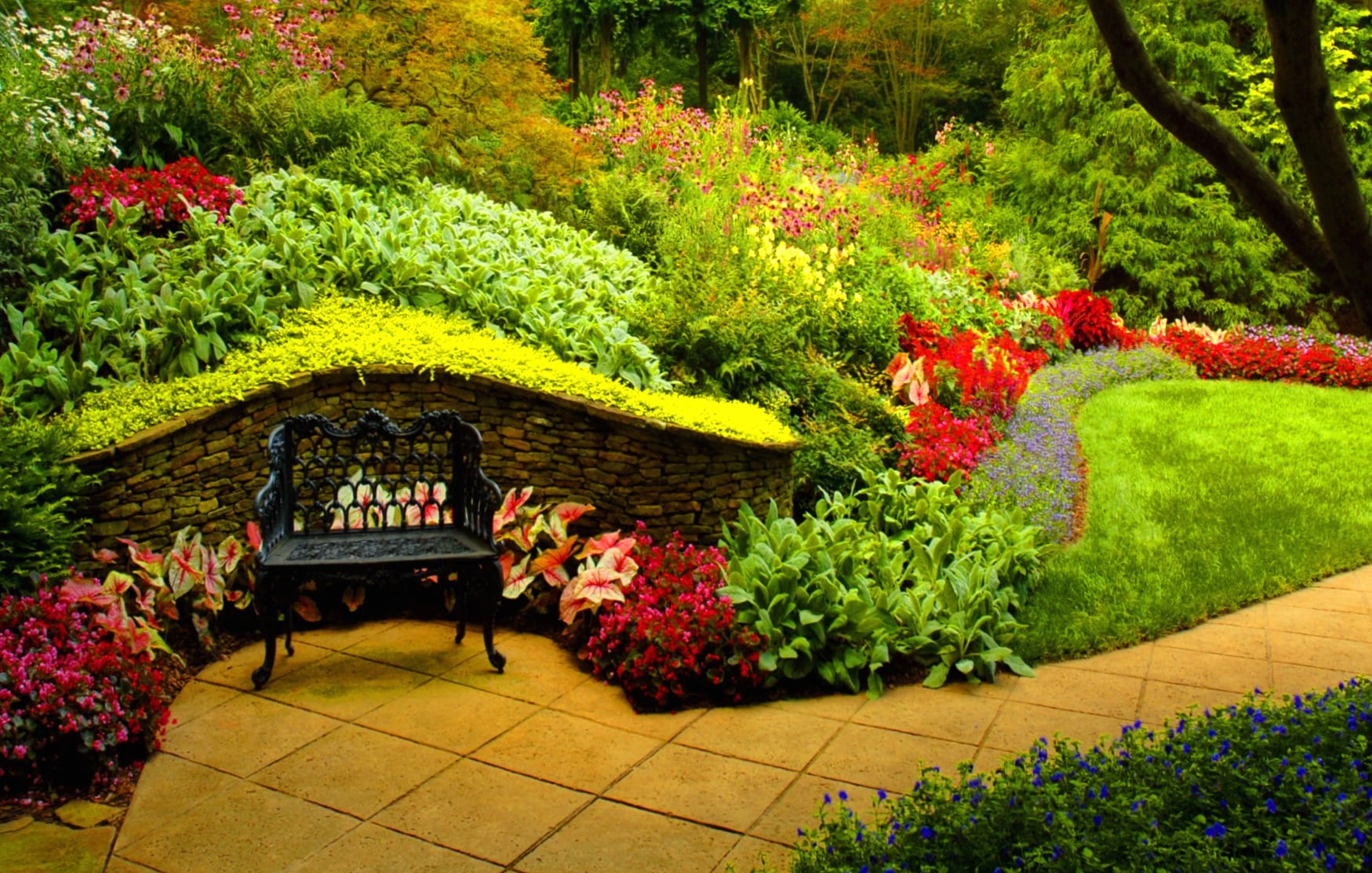 Spring Serenity A Vibrant Garden wallpapers HD quality