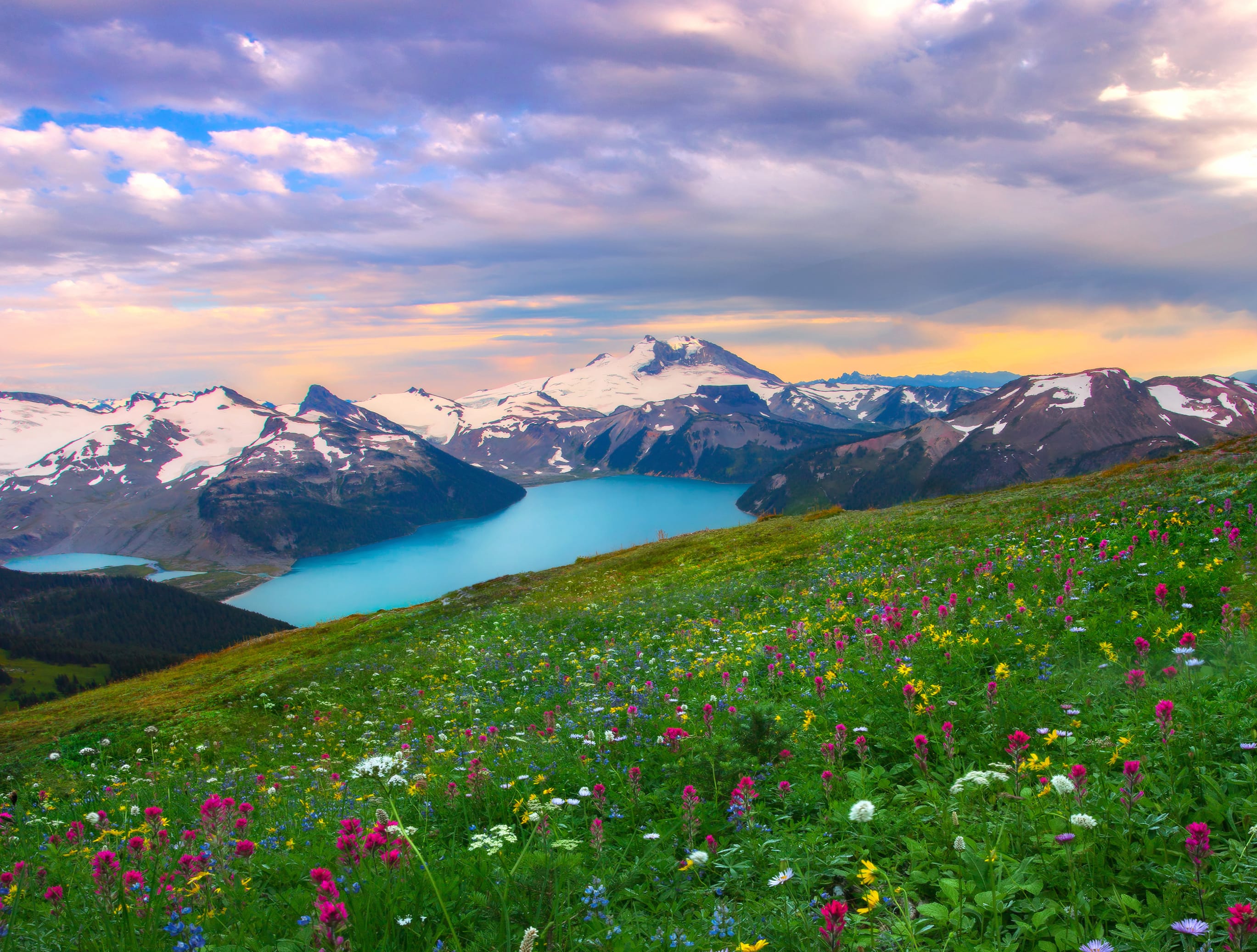 Springtime Alpine Bliss - wallpapers HD quality