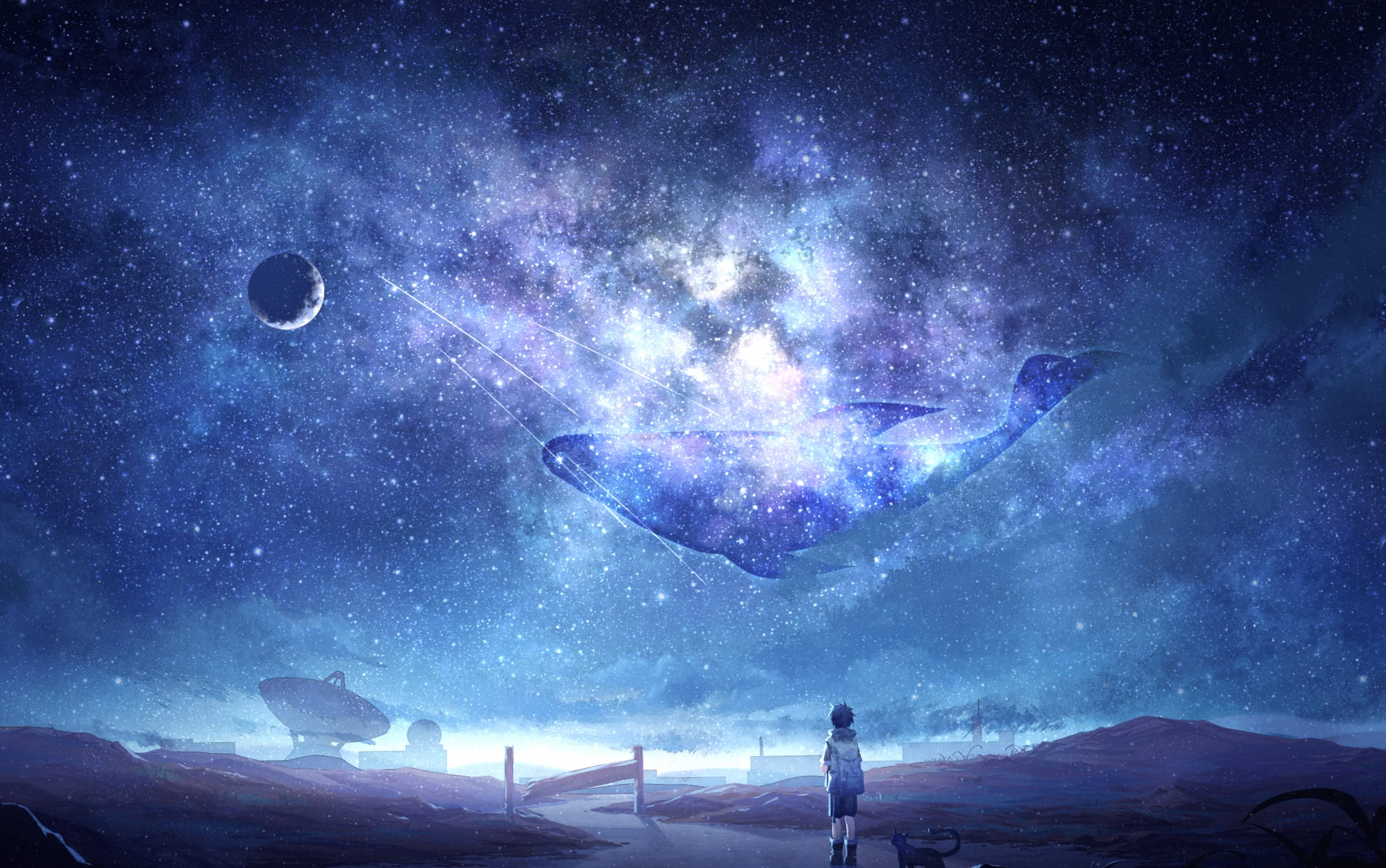 Starlit Dreams Anime Night Sky with Whale & Child at 1536 x 864 HD size wallpapers HD quality