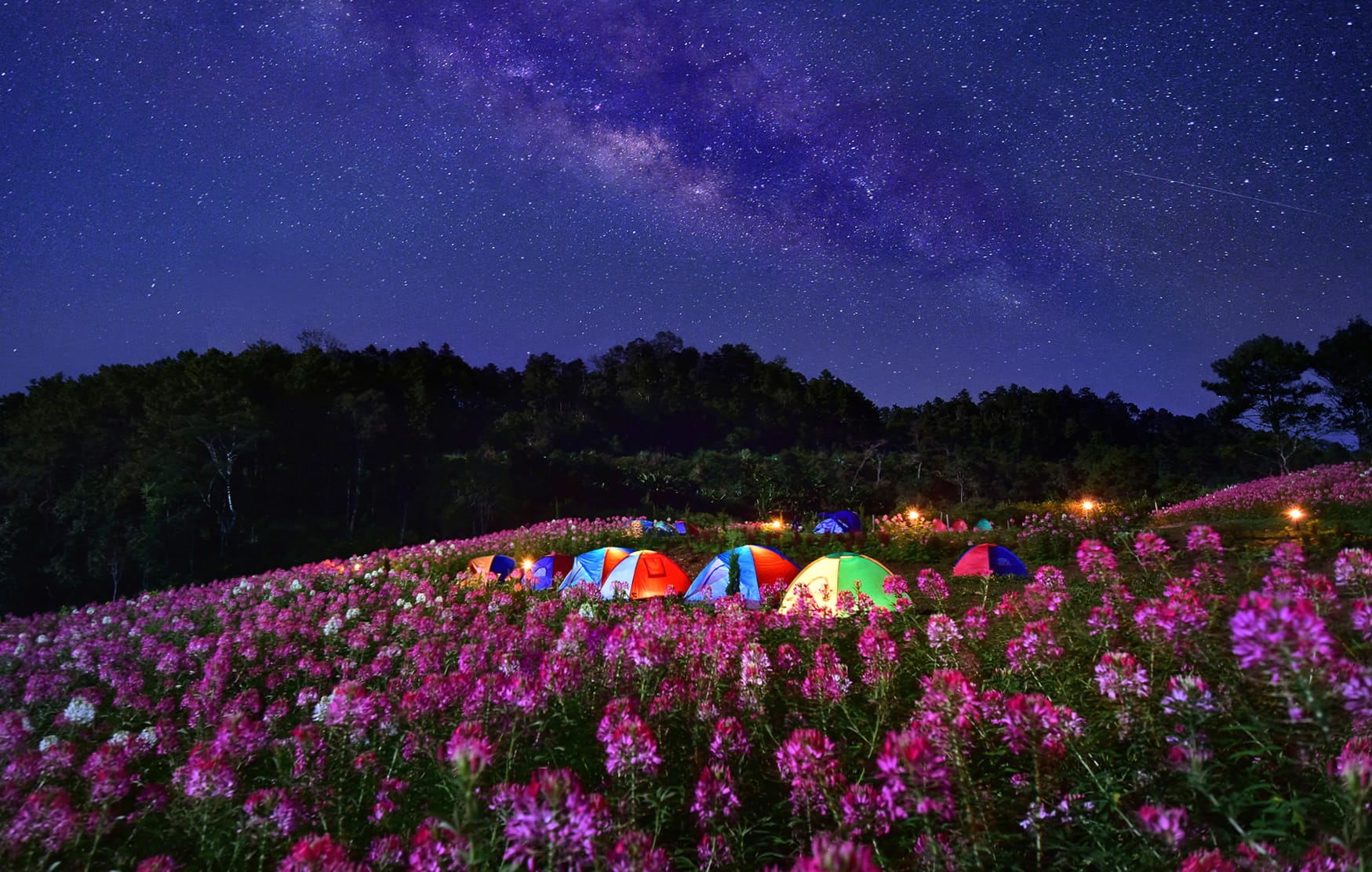 Starry Night Camping A Stunning of the Milky Way at 640 x 1136 iPhone 5 size wallpapers HD quality