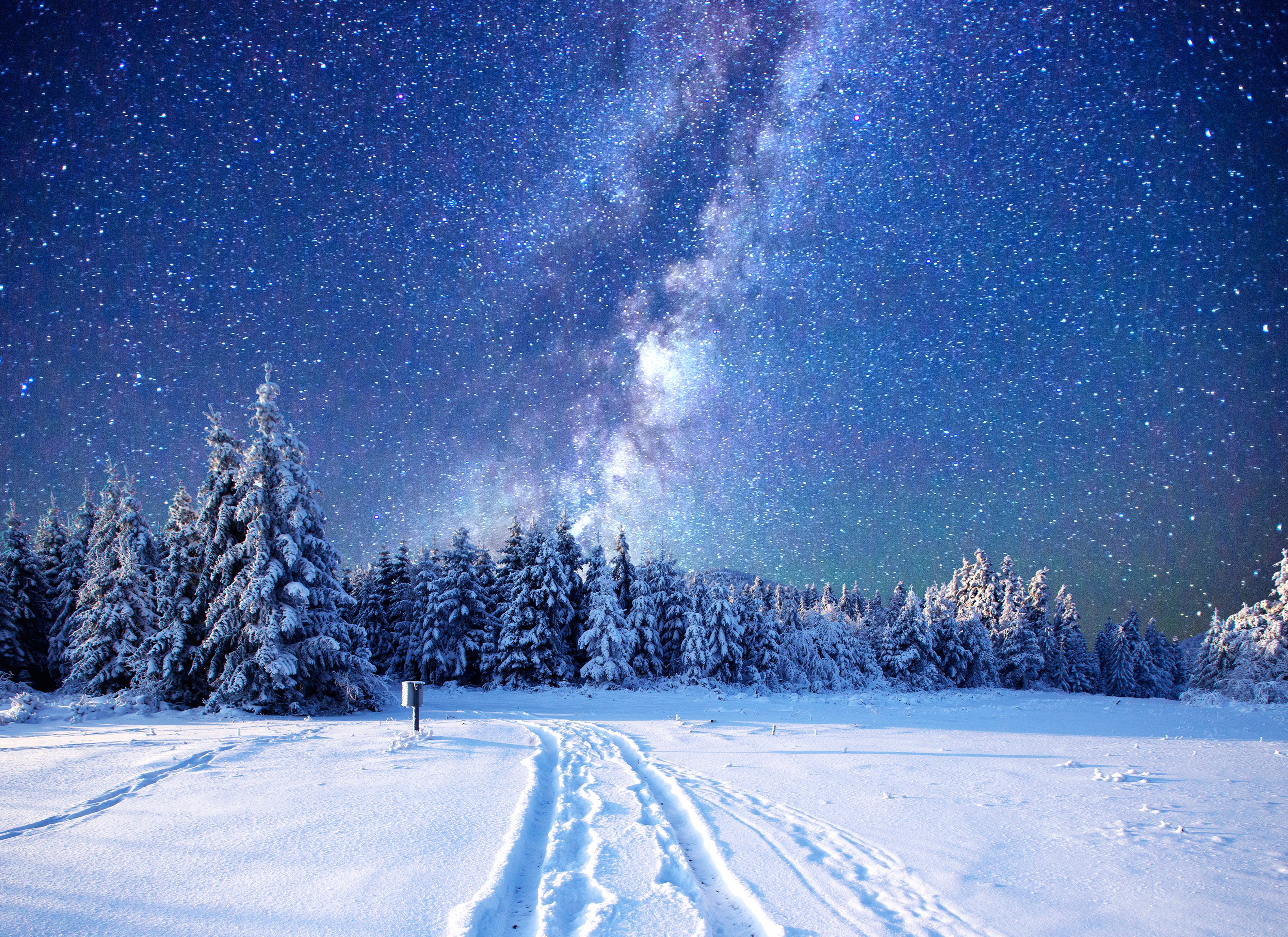 Starry Night Winter Forest - wallpapers HD quality