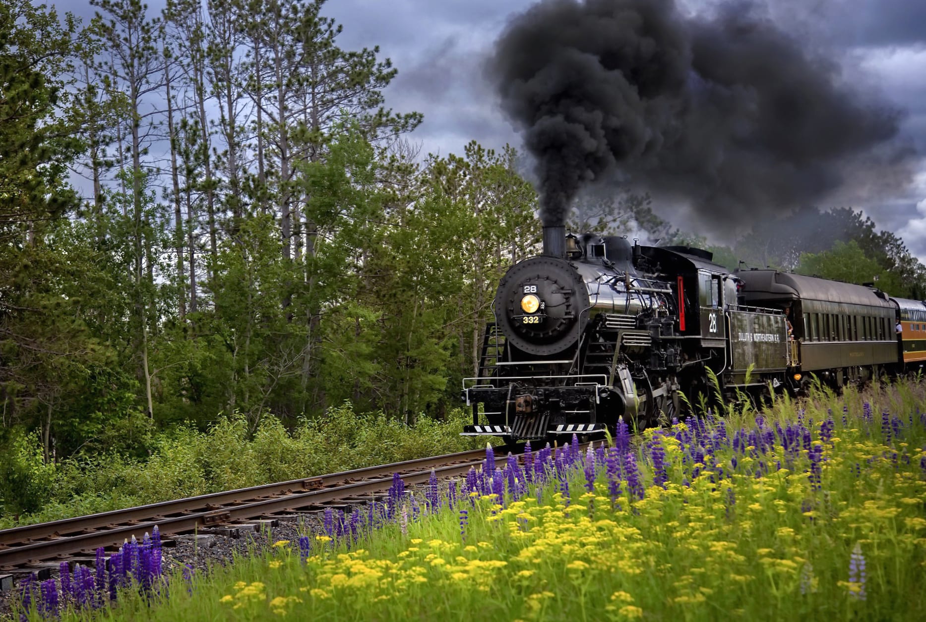 Steam Train in Bloom at 750 x 1334 iPhone 6 size wallpapers HD quality