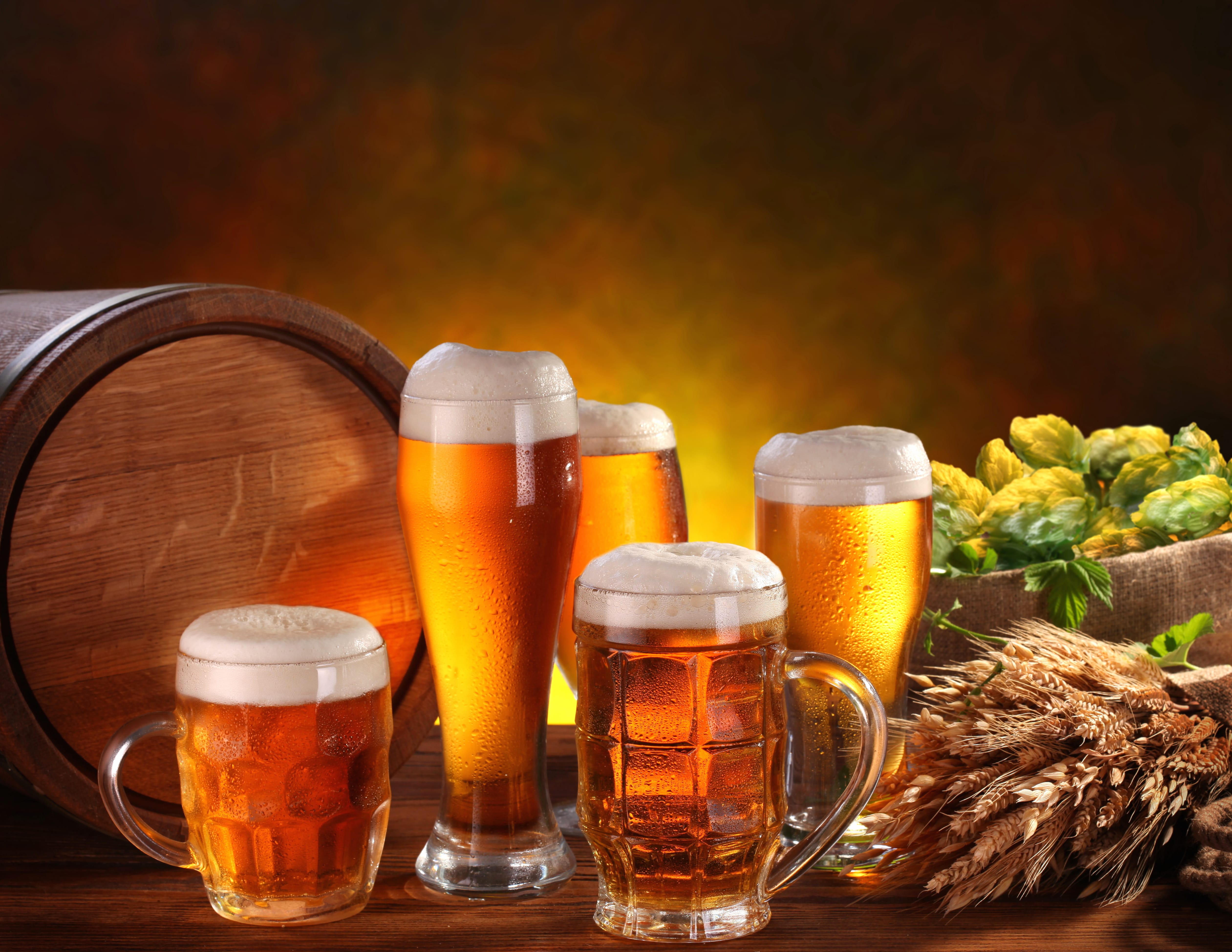 Still Life Hop Barrel Glass Alcohol Drink Food Beer wallpapers HD quality