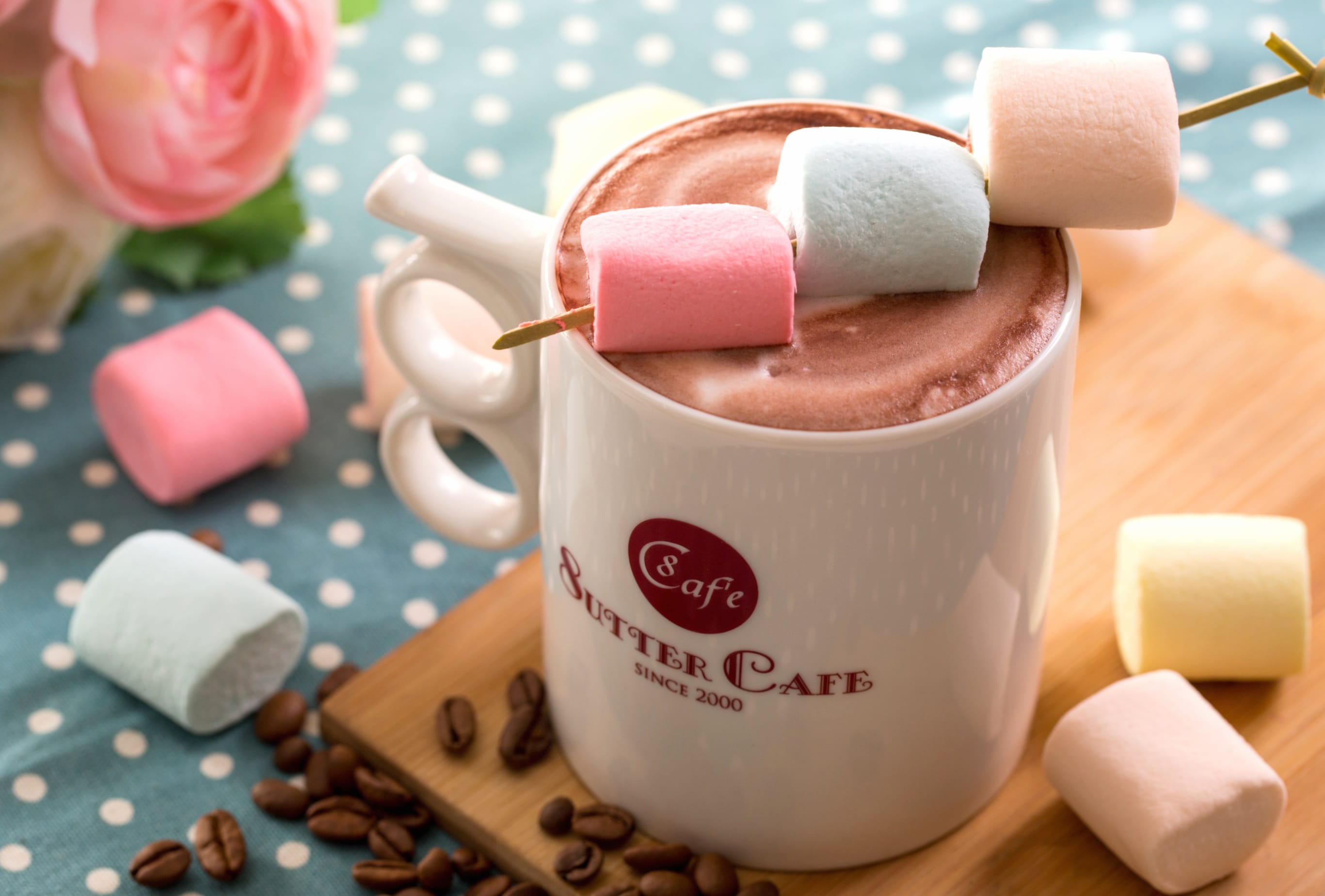 Still Life Marshmallow Cup Food Hot Chocolate wallpapers HD quality