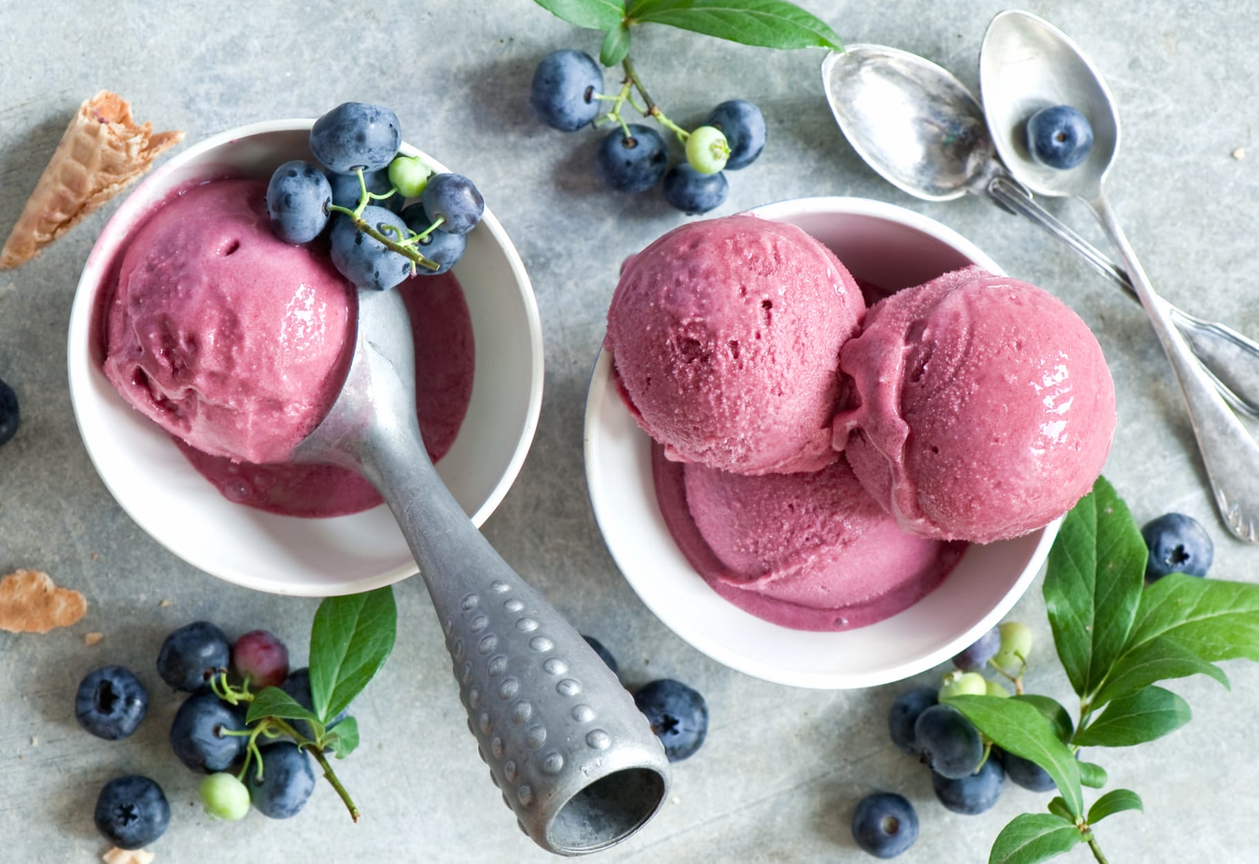 Summer Blueberry Still Life Food Ice Cream wallpapers HD quality