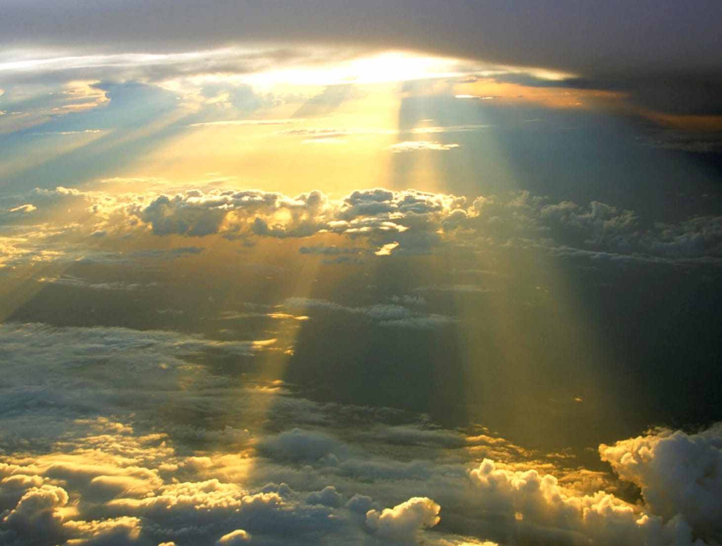 Sunbeam Serenity - at 1536 x 864 HD size wallpapers HD quality