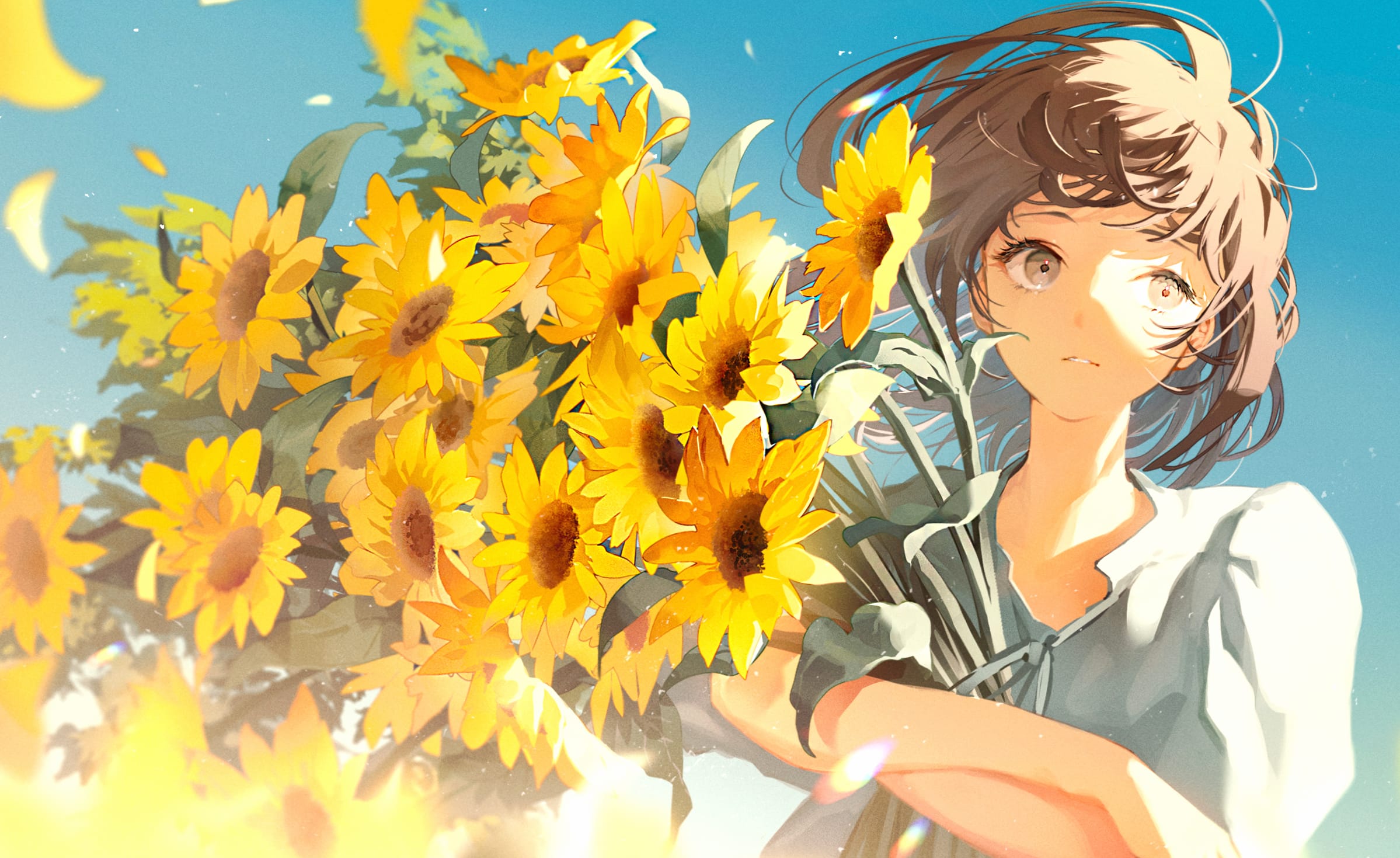 Sunflower Breeze Anime Girl wallpapers HD quality