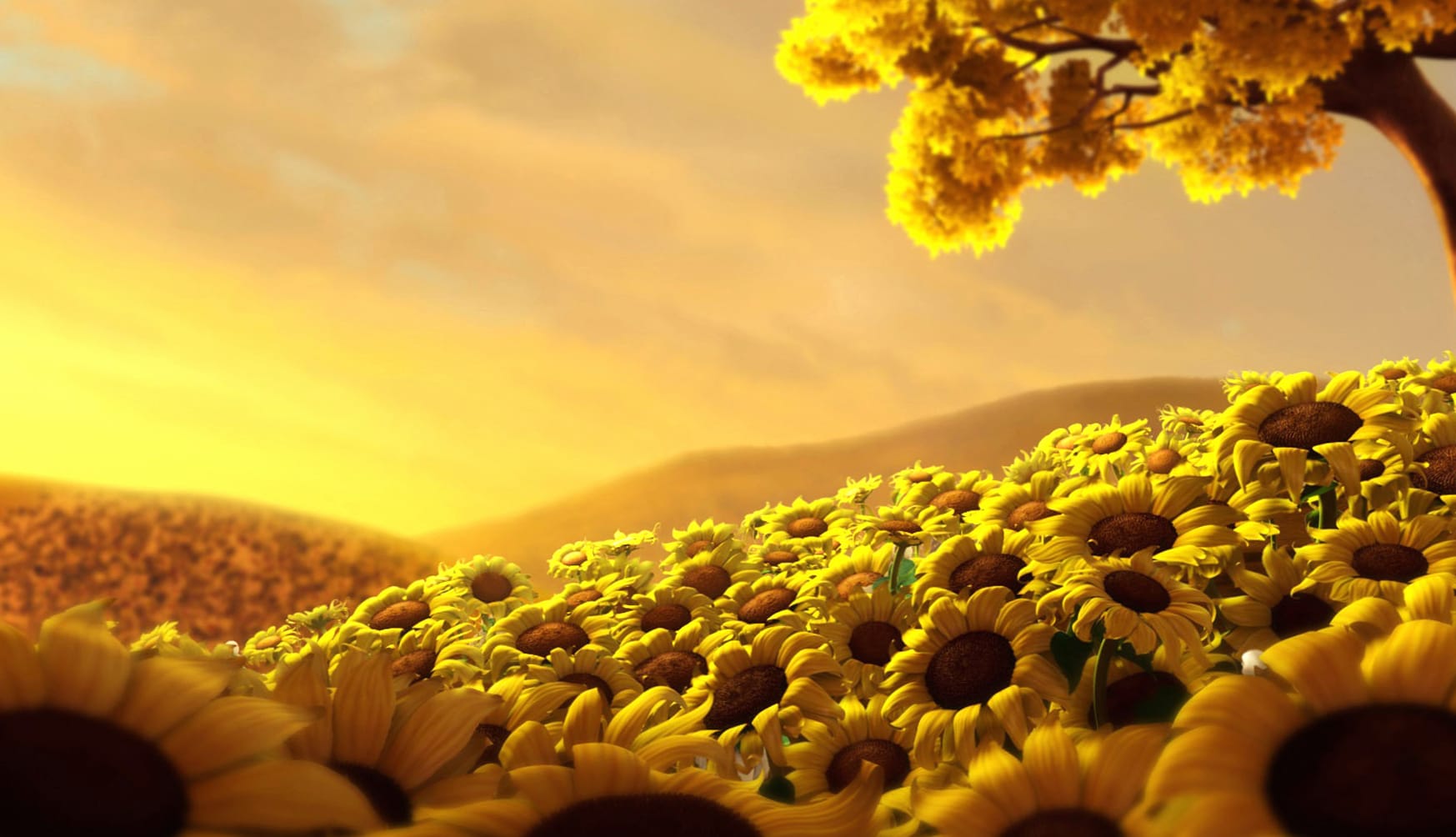 Sunflower Serenity - HD Landscape Wallpaper wallpapers HD quality