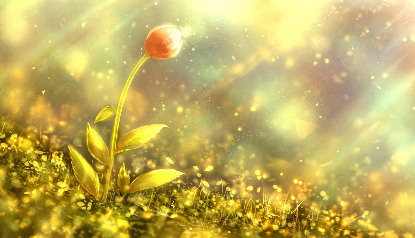 Sunlight Artistic Flower at 1024 x 1024 iPad size wallpapers HD quality