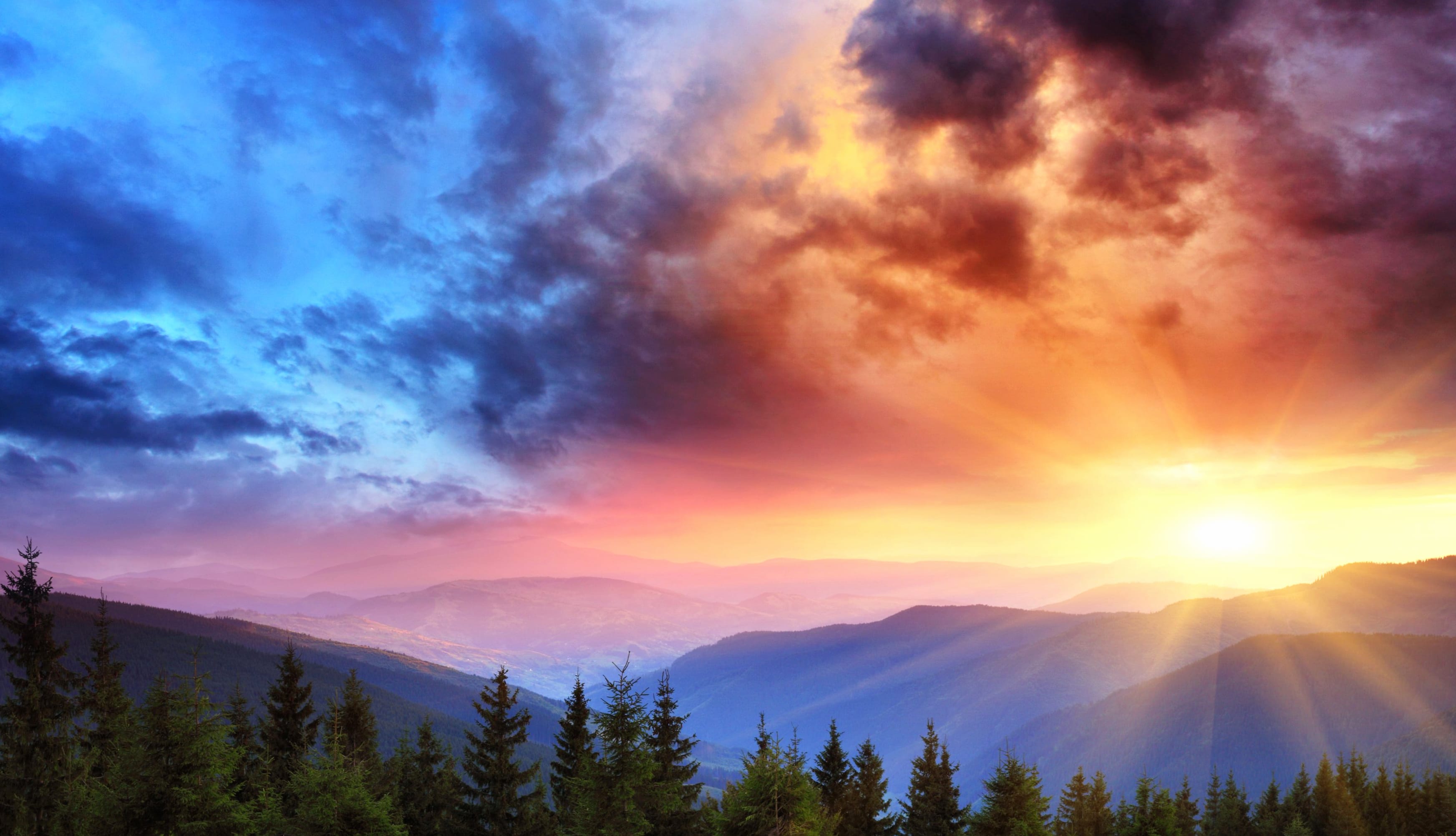 Sunrise Splendor in HD wallpapers HD quality