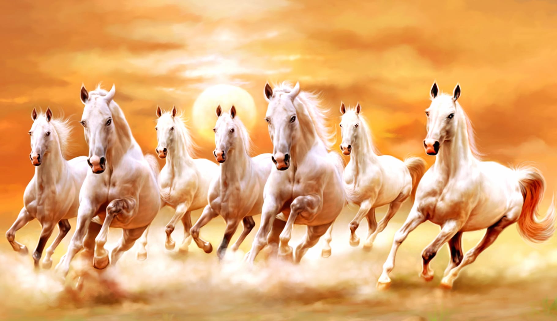 Sunset Gallop HD Animal Wallpaper wallpapers HD quality