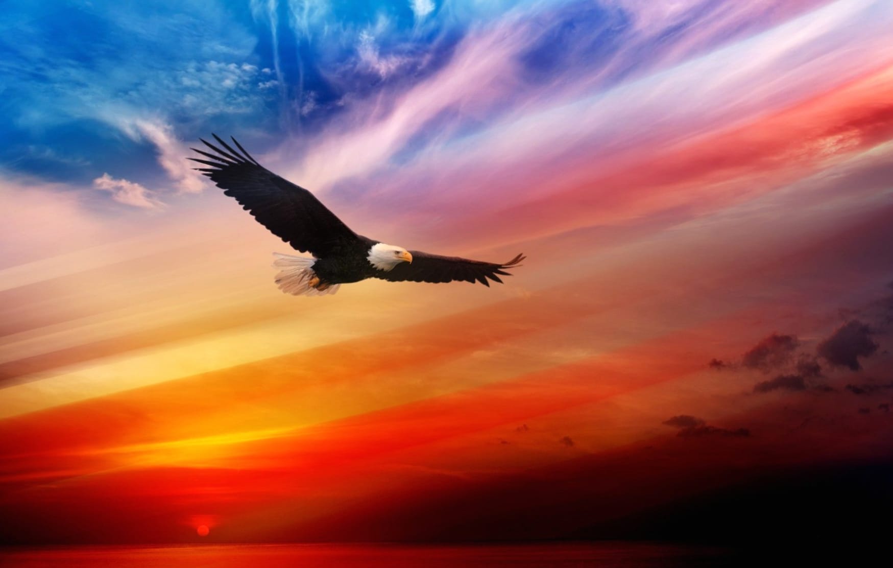 Sunset Soar Bald Eagle at 640 x 960 iPhone 4 size wallpapers HD quality