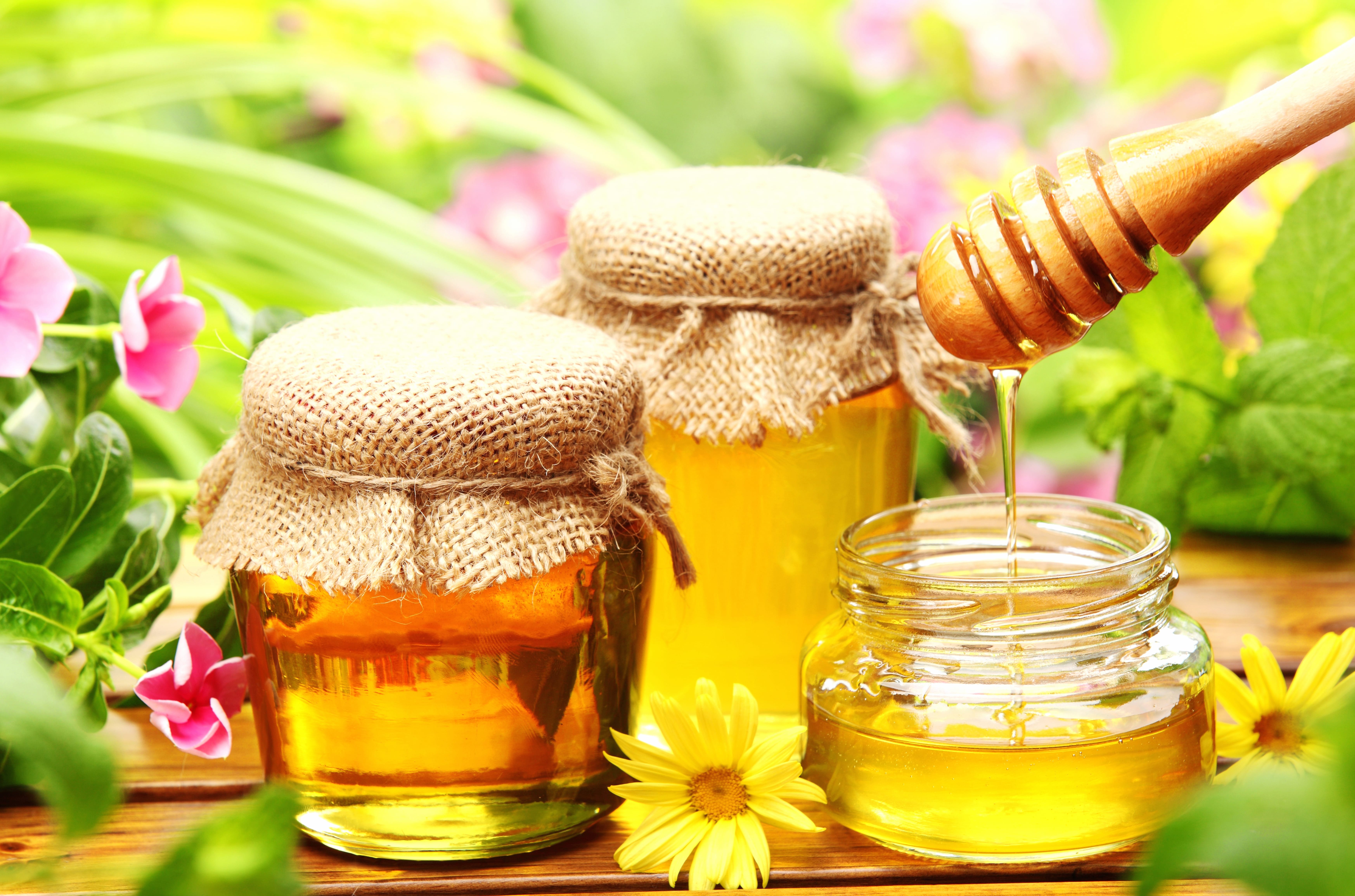 Sweet Essence Honey and Flowers in wallpapers HD quality