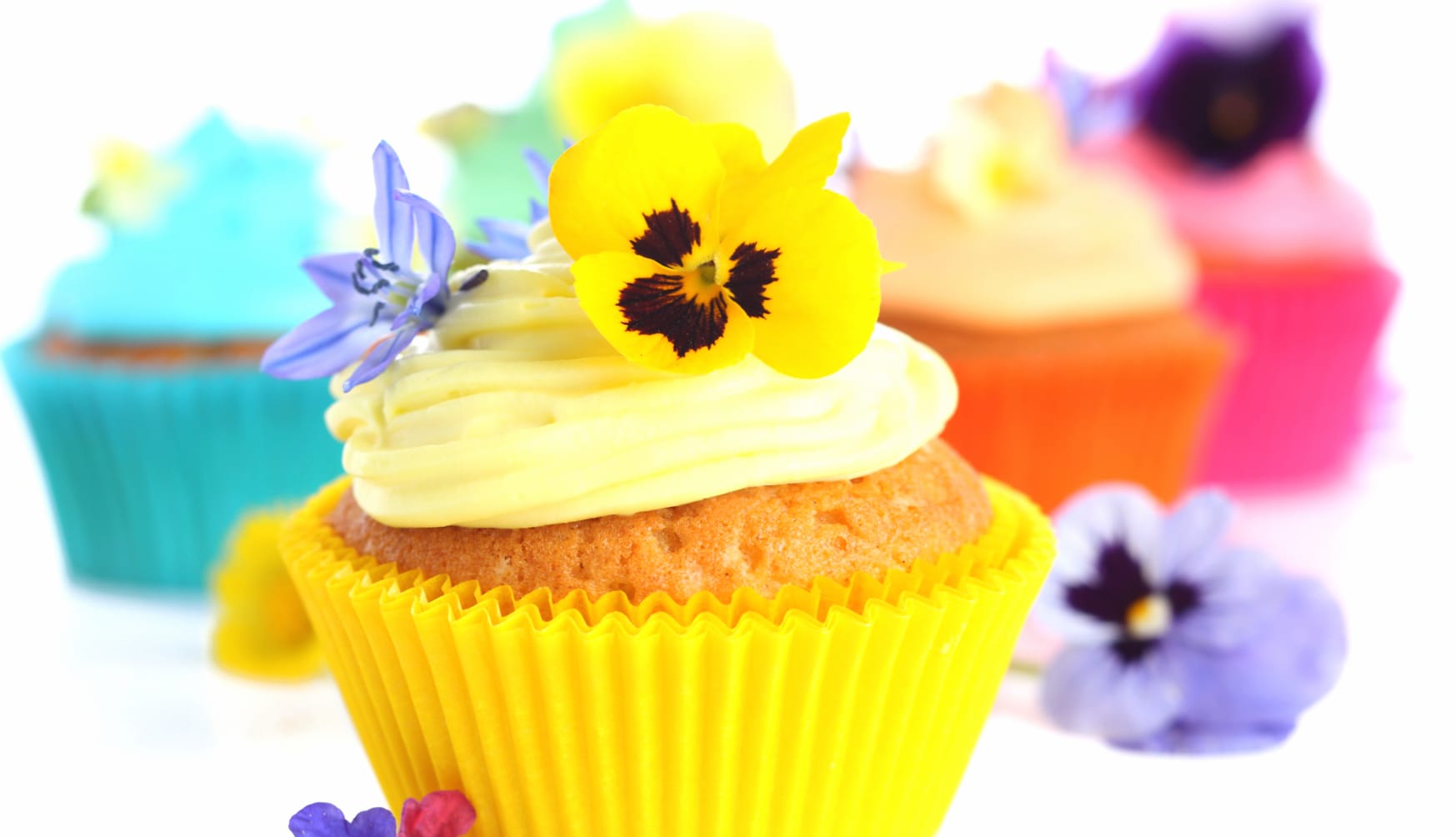 Sweets Cream Flower Dessert Food Cupcake wallpapers HD quality