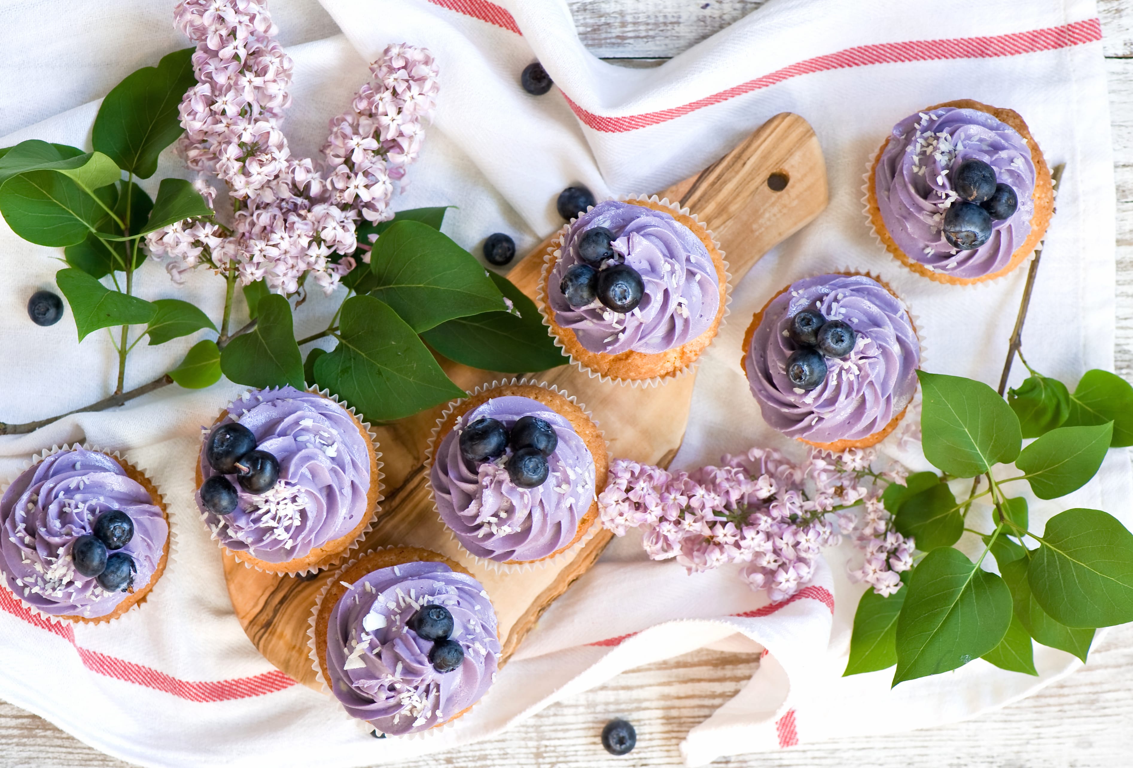 Sweets Dessert Lilac Blueberry Food Cupcake wallpapers HD quality