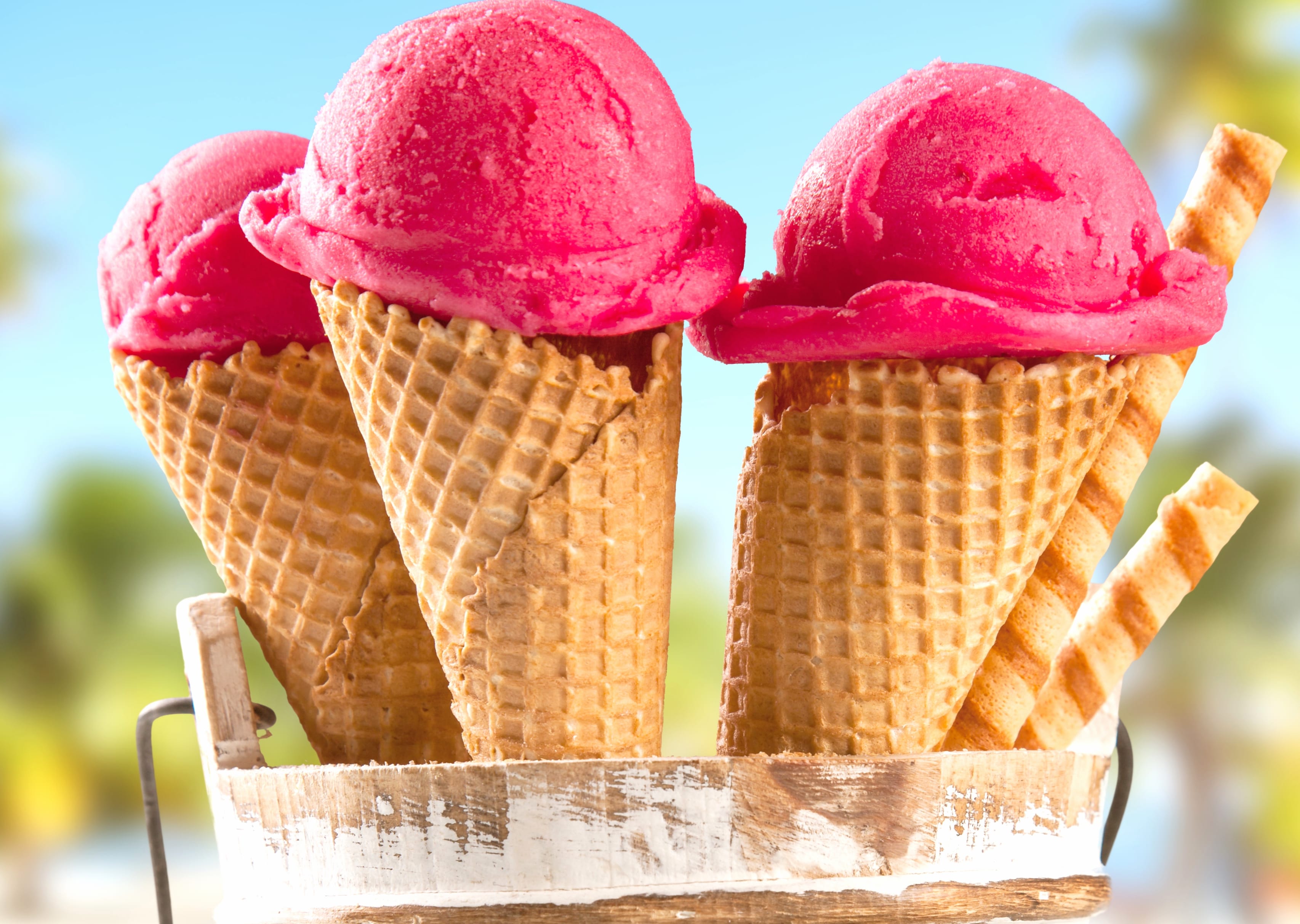 Sweets Summer Food Ice Cream wallpapers HD quality