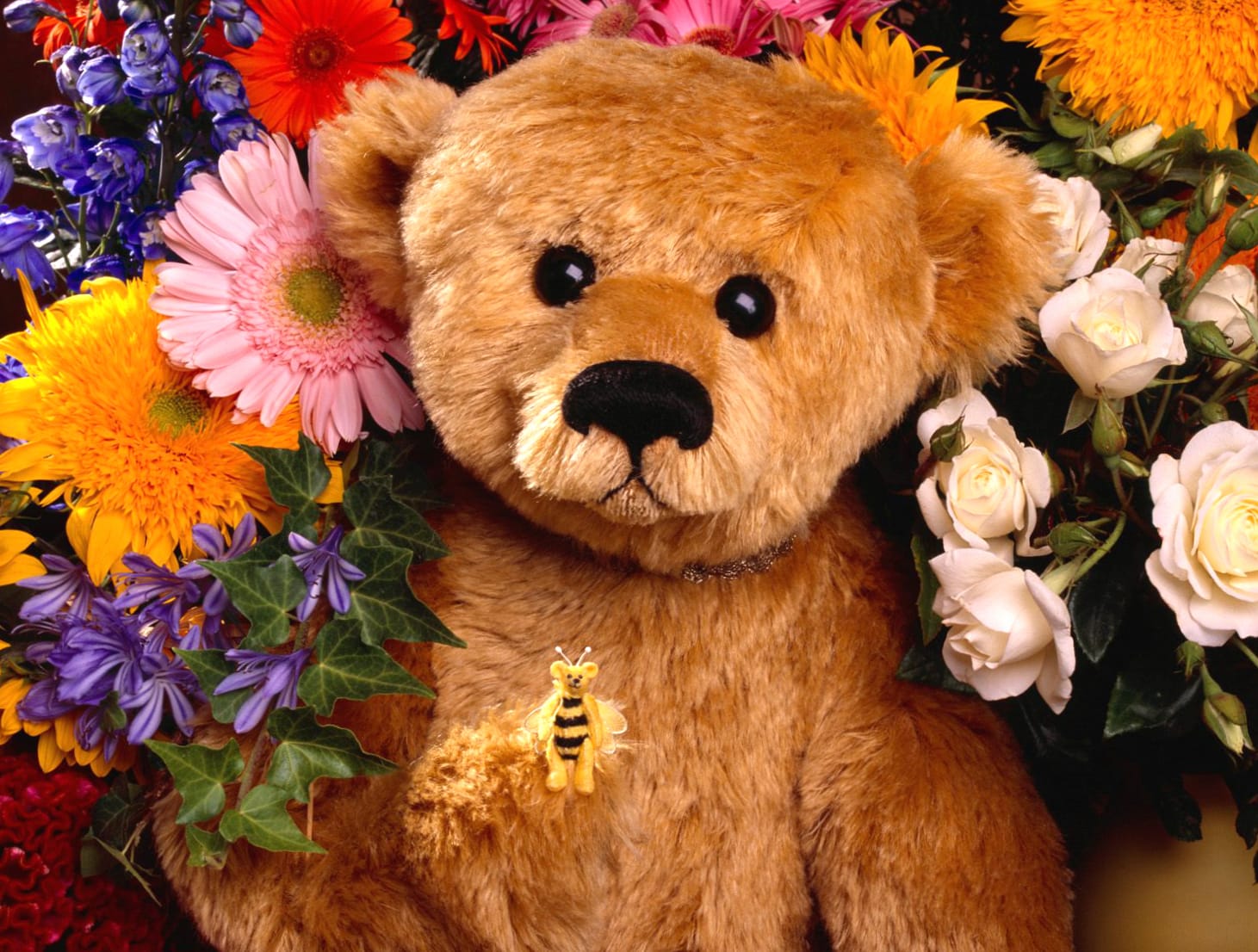 Teddy Bear with Flowers wallpapers HD quality