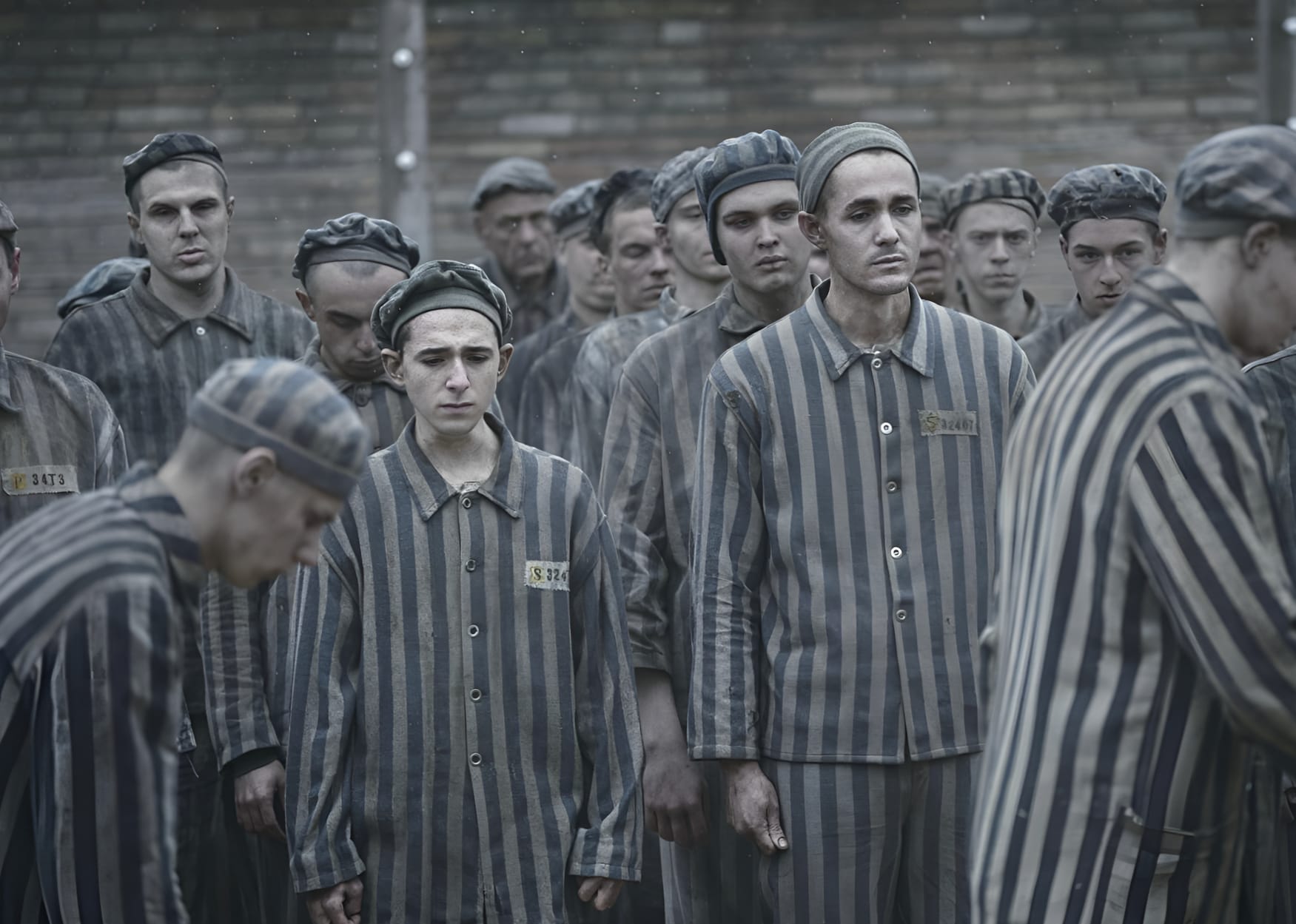 The Tattooist of Auschwitz HD Series Wallpaper wallpapers HD quality