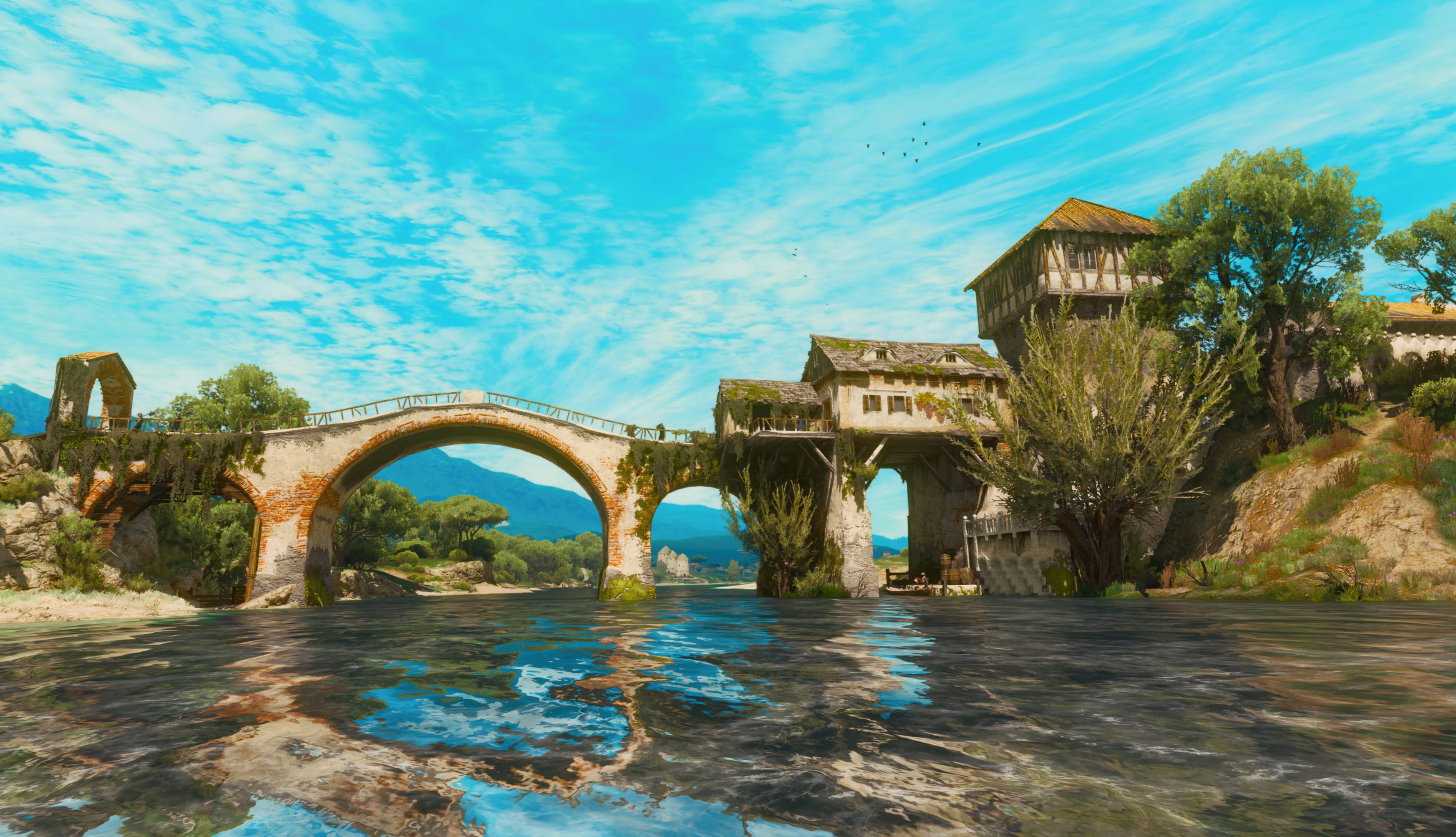 The Witcher 3 - First Day in Toussaint wallpapers HD quality