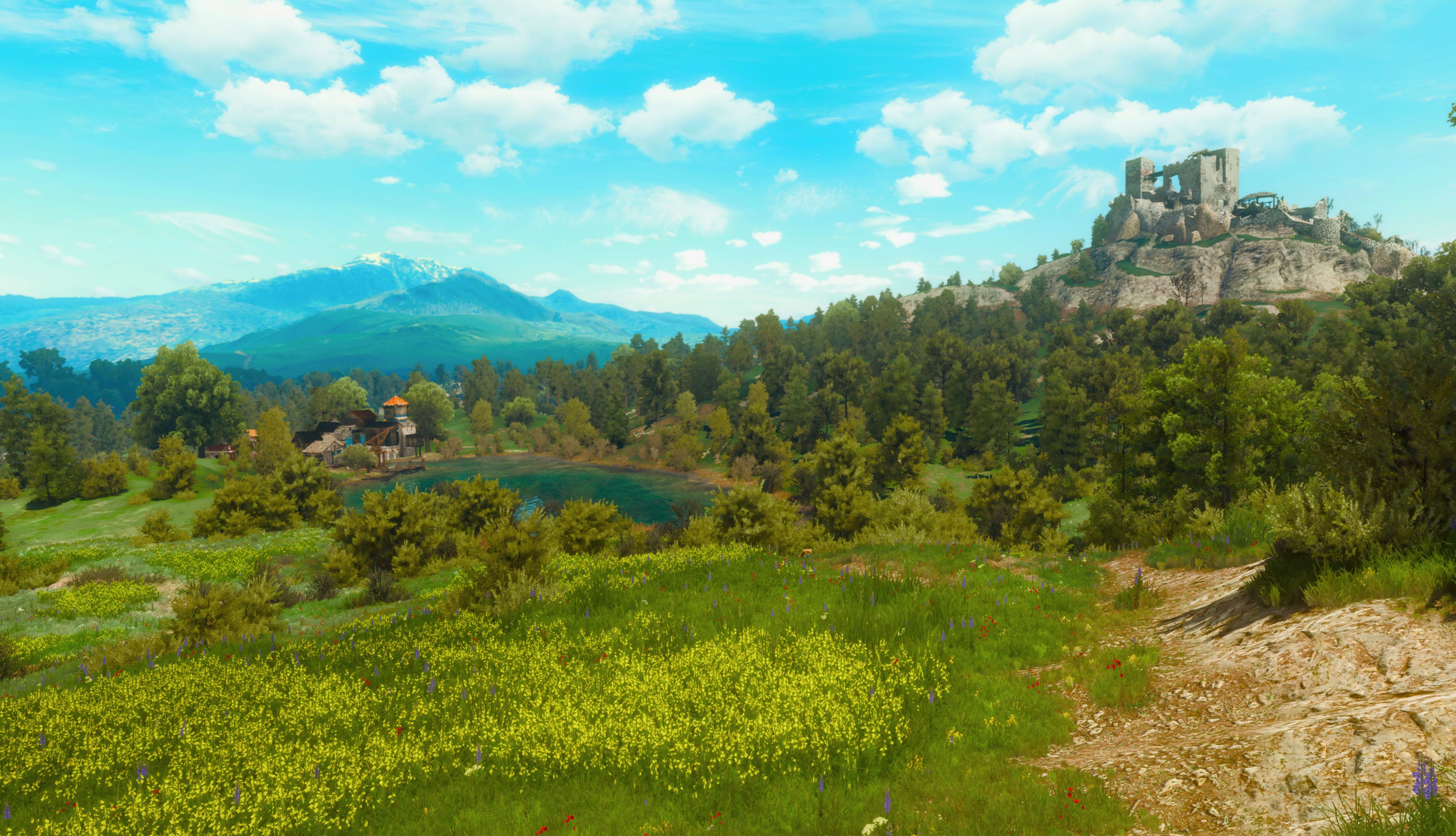 The Witcher 3 - Lost Castle wallpapers HD quality