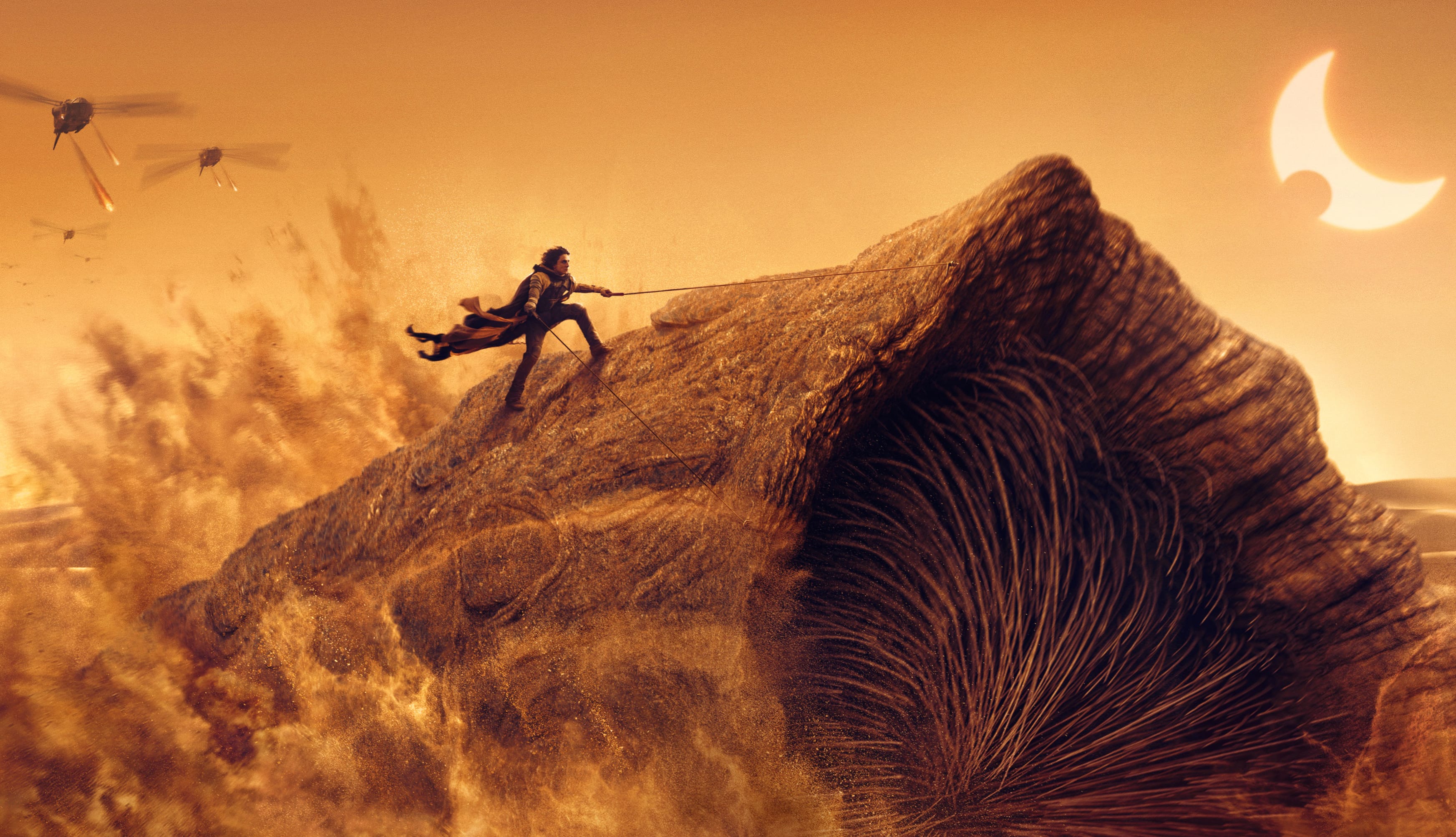 Timothée Chalamet riding Sandworm in Dune 2 at 640 x 1136 iPhone 5 size wallpapers HD quality