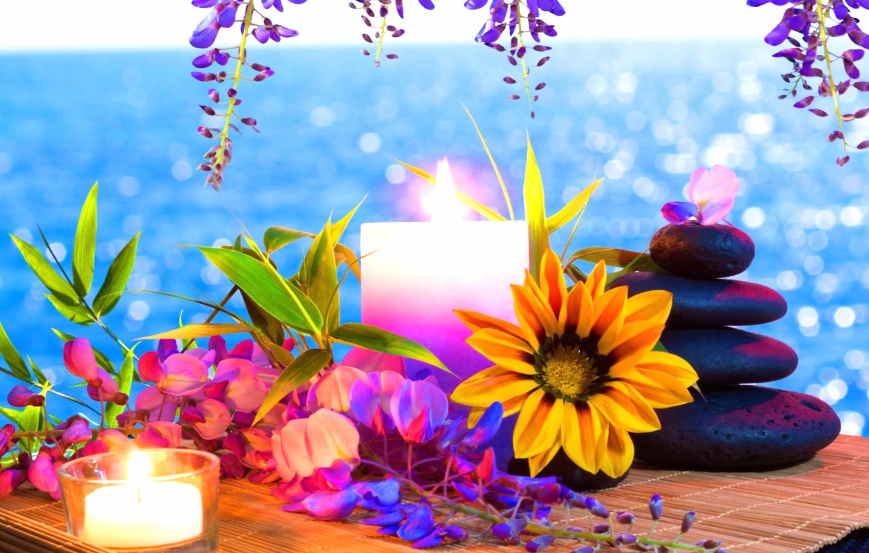 Tranquil Harmony Yellow Flower Still Life at 1366 x 768 HD size wallpapers HD quality