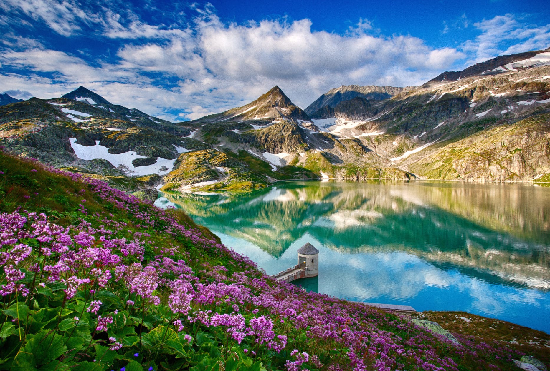 Tranquil Reflections of Mountain Scenery and Vibrant Flora wallpapers HD quality