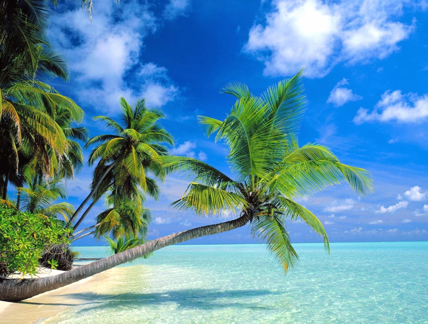 Tropical Beach Escape - wallpapers HD quality